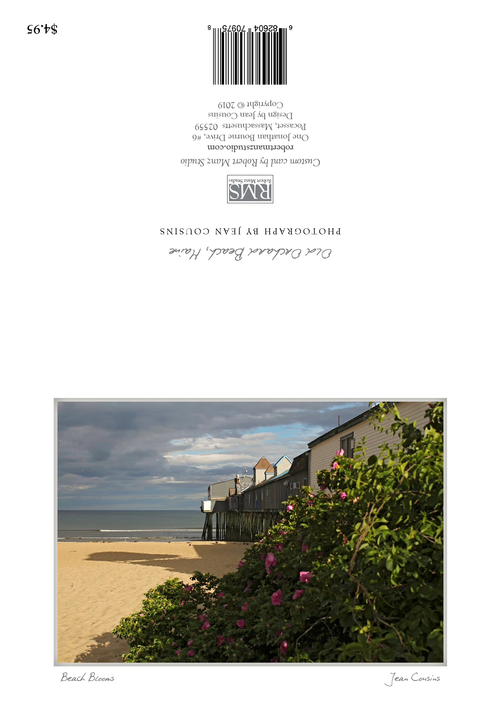 "Beach Blooms" by Jean Cousins; Old Orchard Beach, Maine