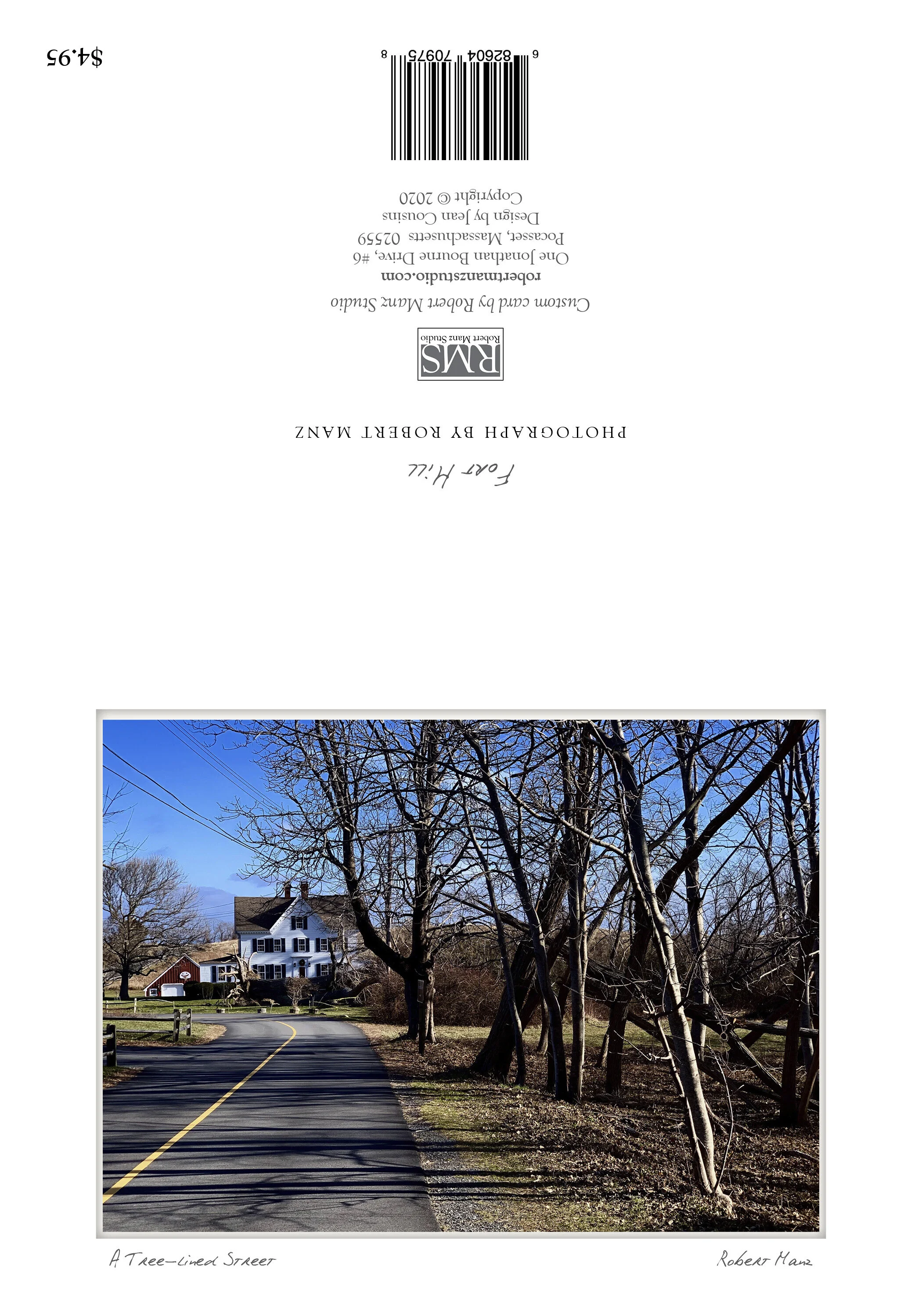 "Tree-Lined Street" by Robert Manz