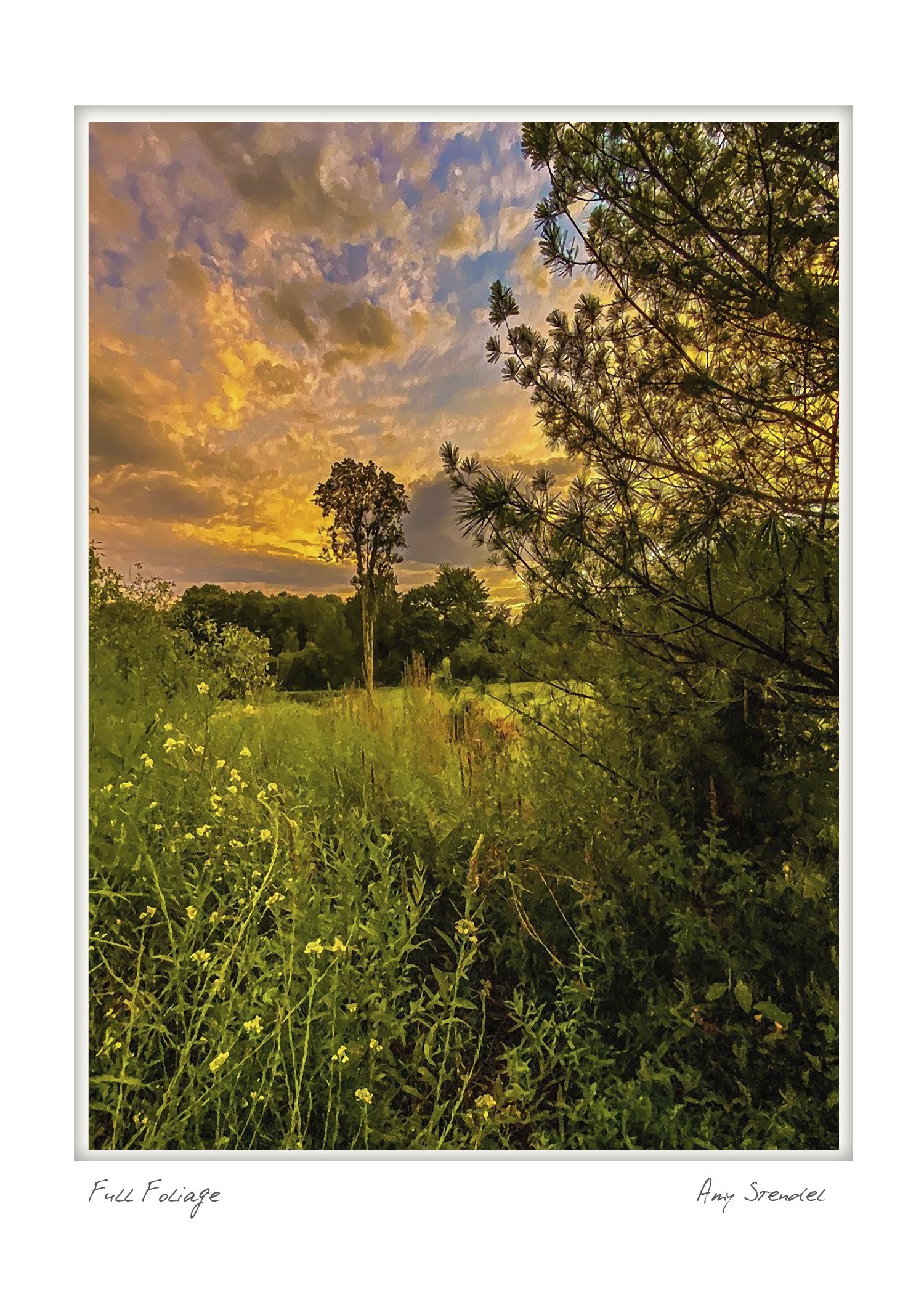 Rockport_5X7_vertical_rdm8_thumbnail.jpg