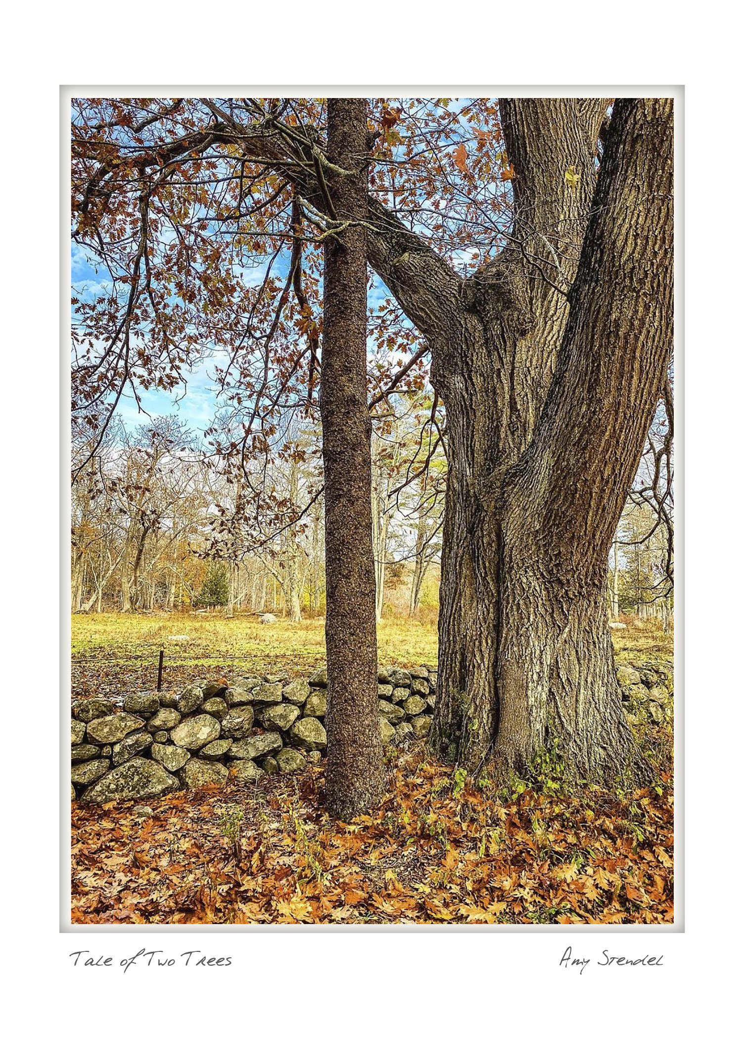 Rockport_5X7_vertical_rdm11_thumbnail.jpg