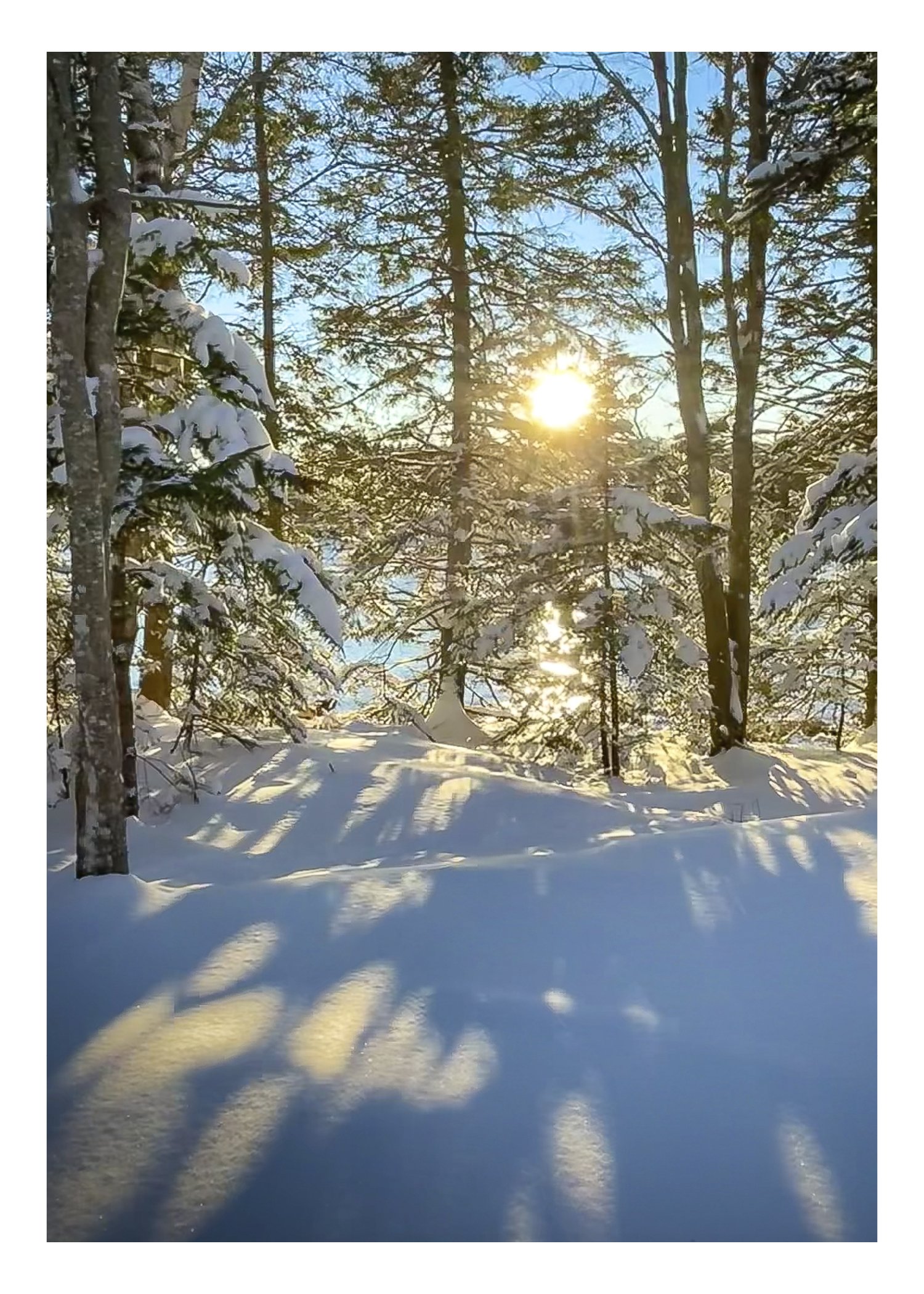 NOTECARD_5X7_vertical11_half.jpg