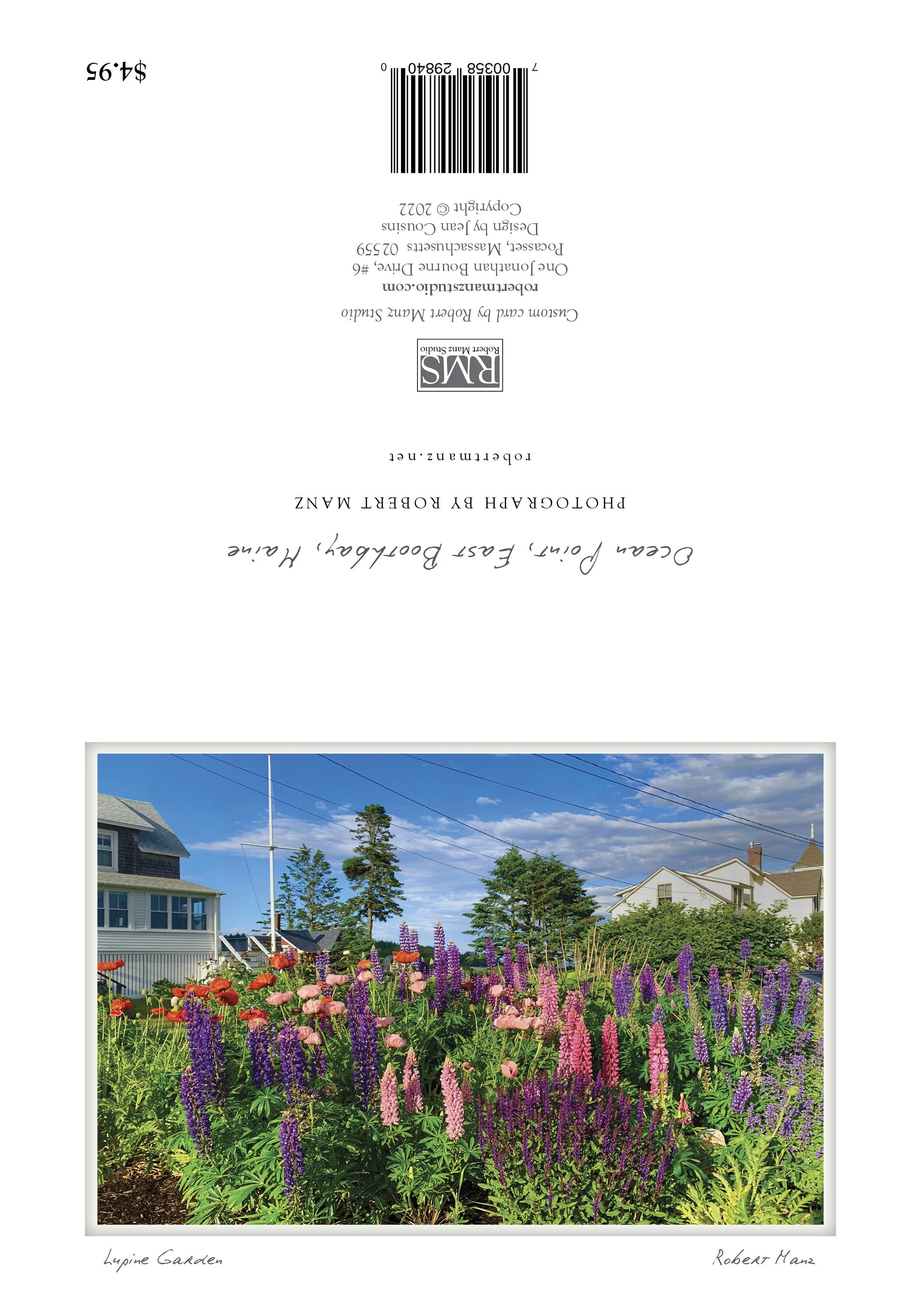 lupine garden ocean point NOTECARD_5X7_horizontal2.jpg