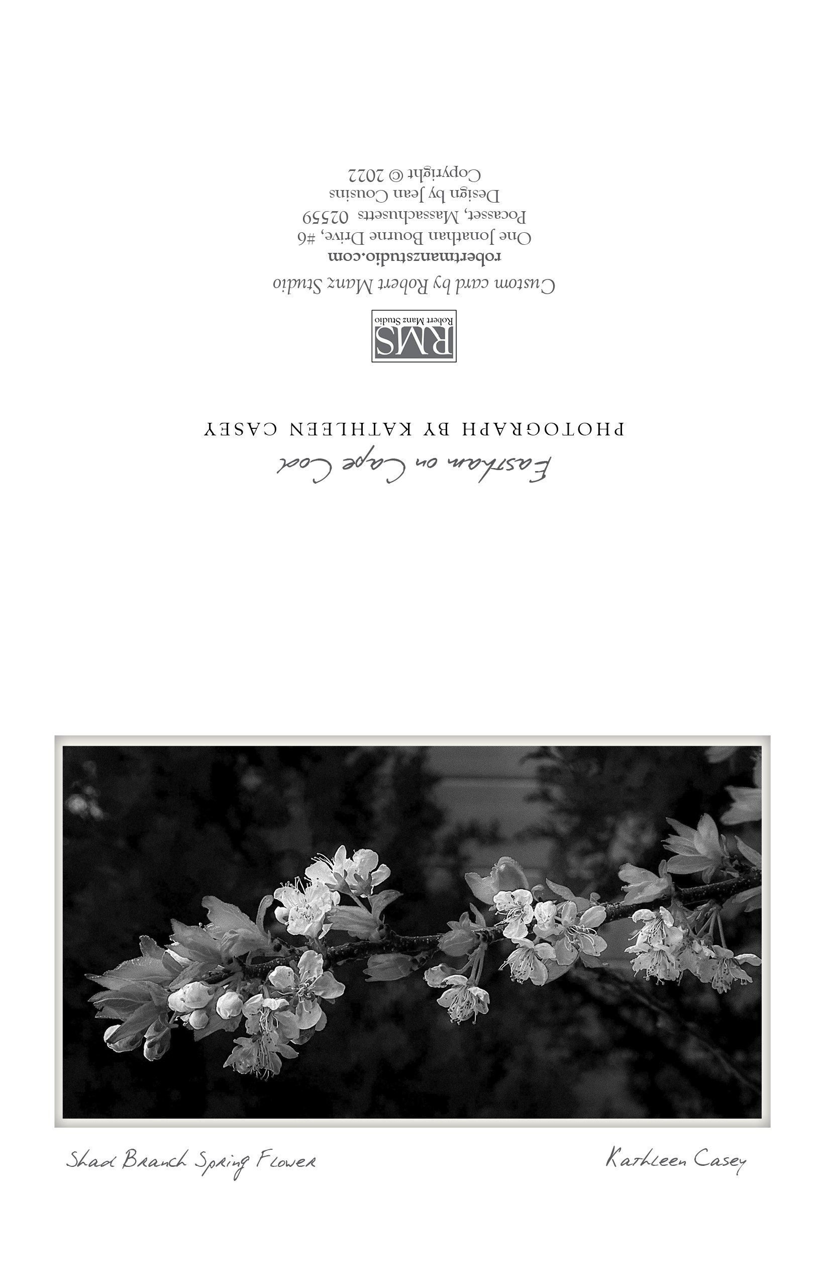 shad branch spring flower NOTECARD_4.25x5.5.jpg