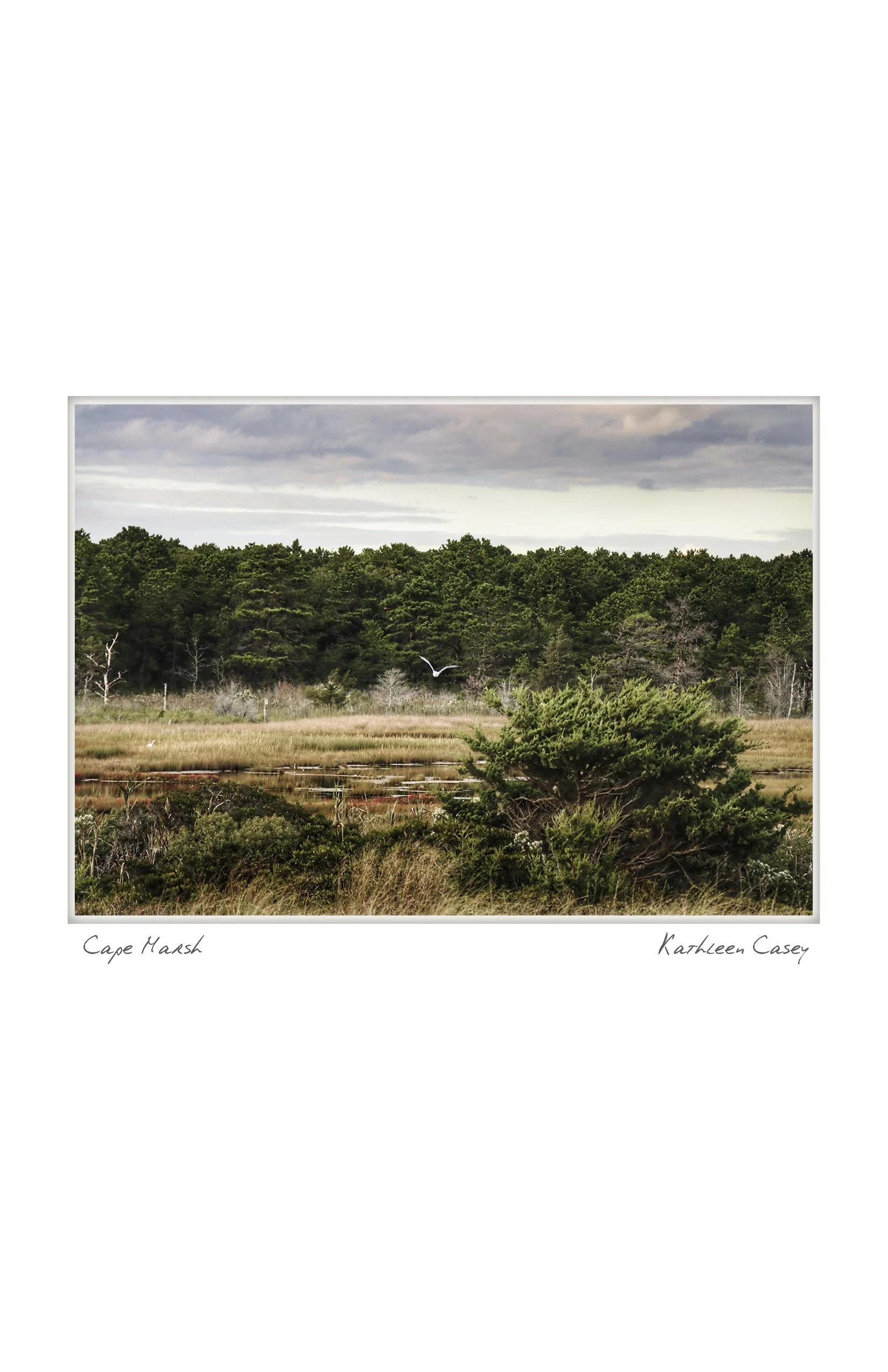 half cape marsh NOTECARD_4.25x5.5.jpg