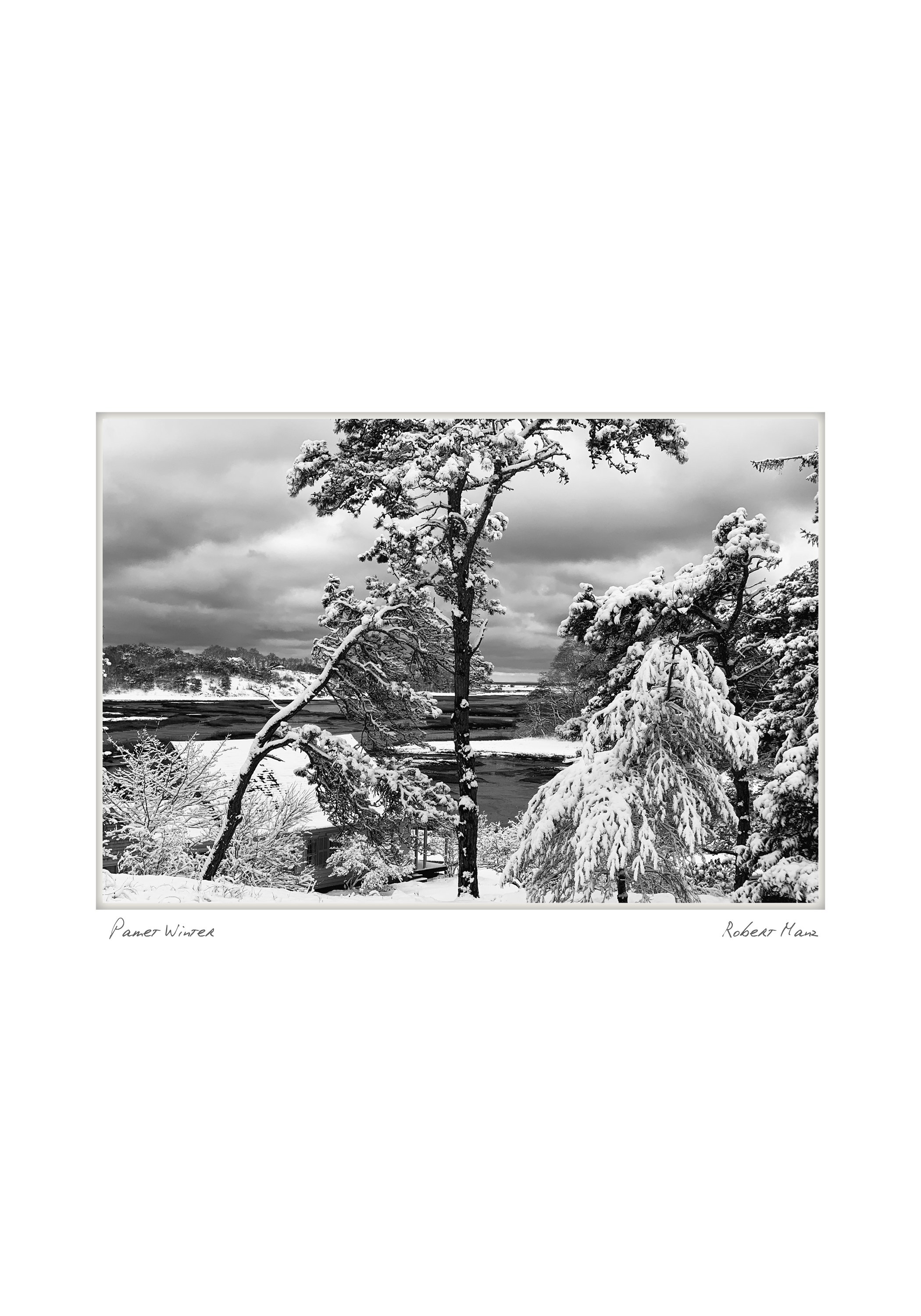 half pamet winter NOTECARD_5X7_capecodnoir2.jpg