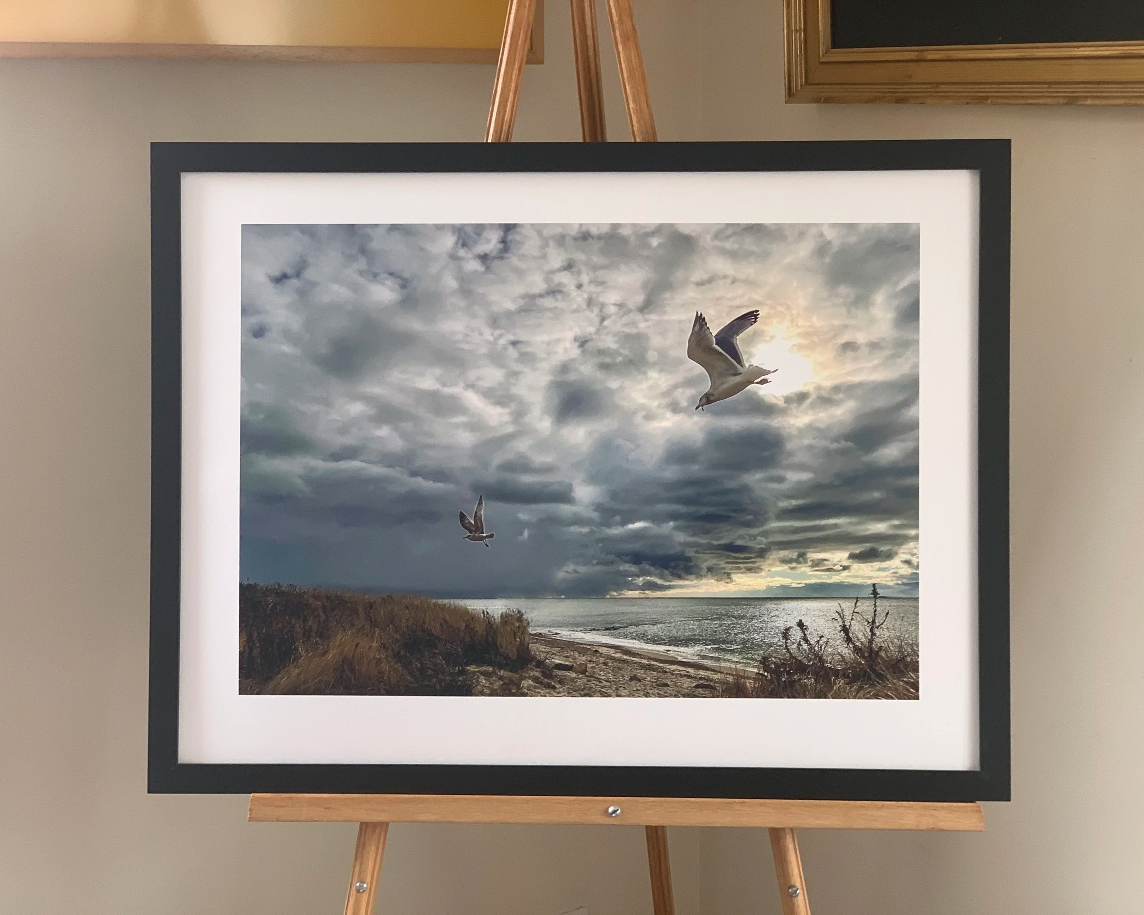 Gulls at Menauhant by Kathleen Casey
