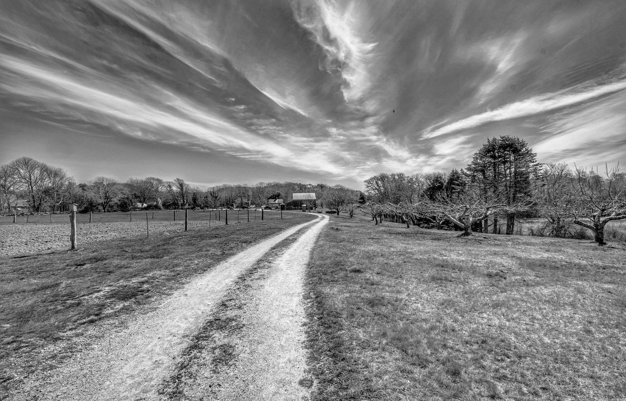 apotheosis bourne farm weeks_I.jpg