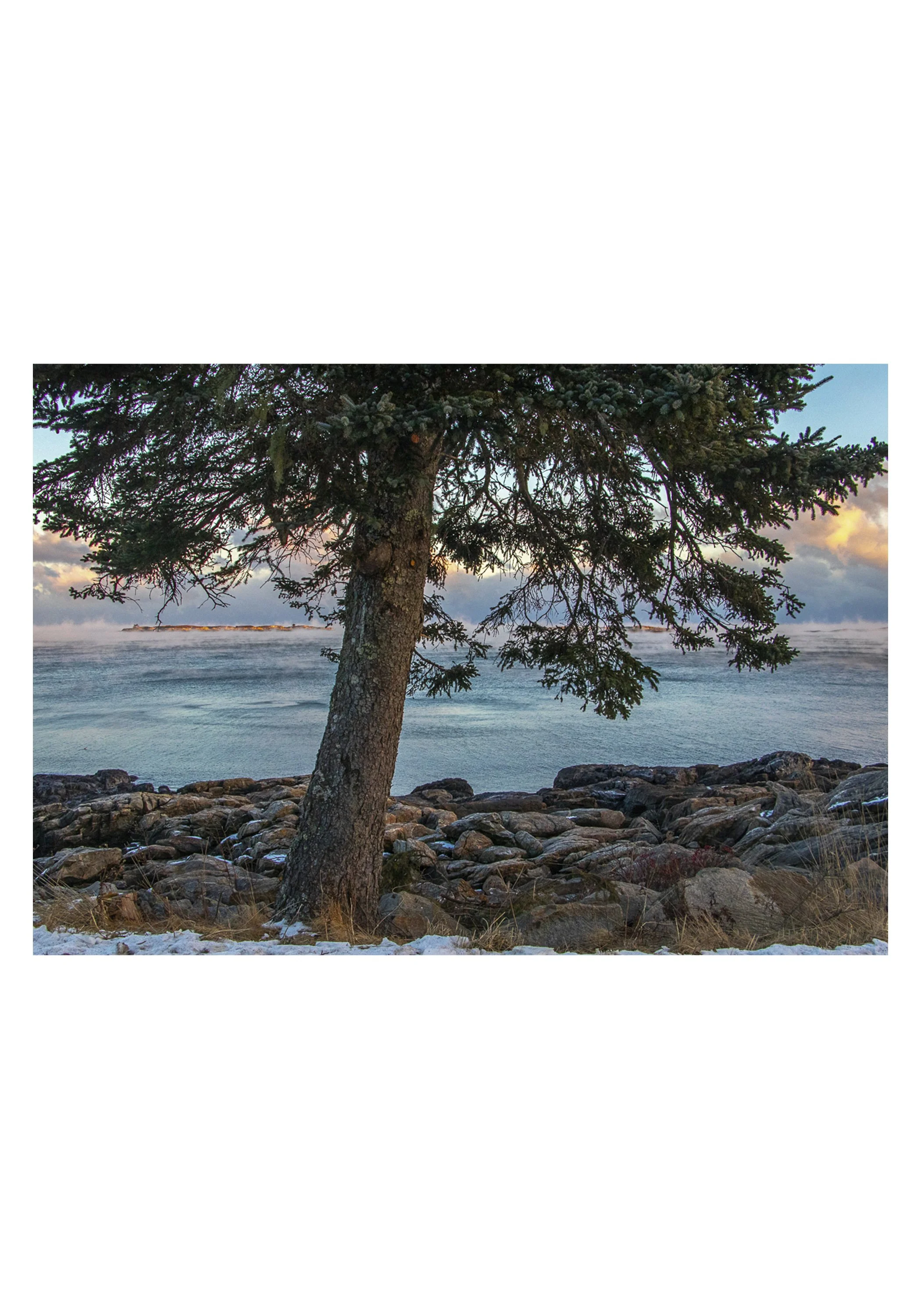 NOTECARD_5X7_horiz_NOmatte no price2.jpg