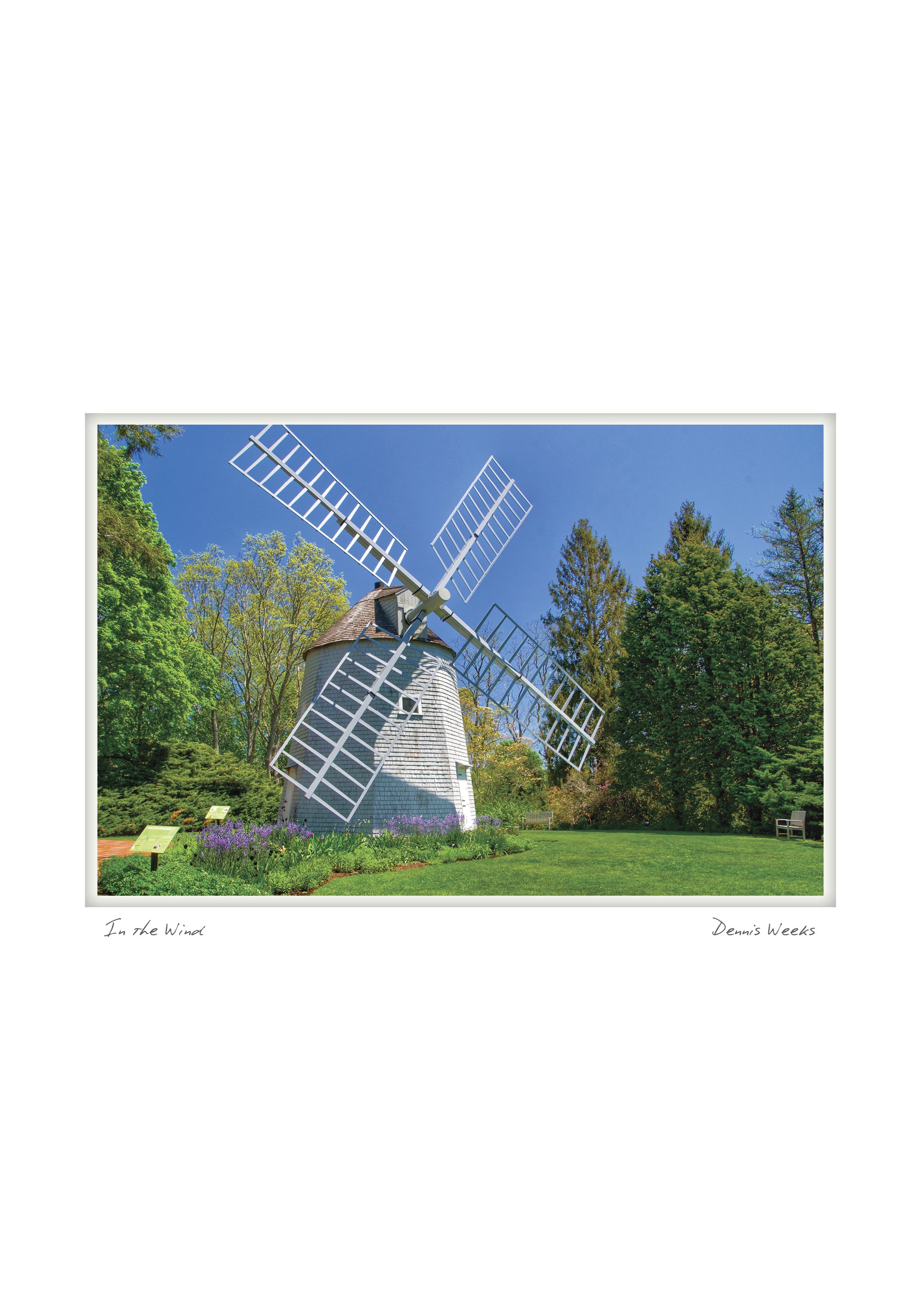 in the wind NOTECARD_5X7_horiz.jpg