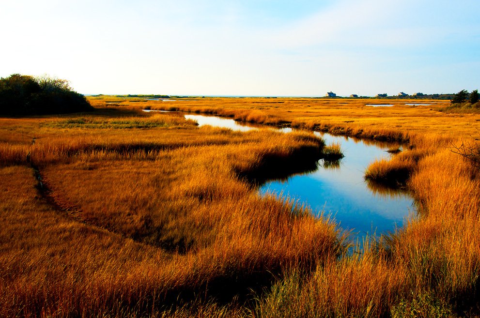 View over the Marsh, West Falmouth