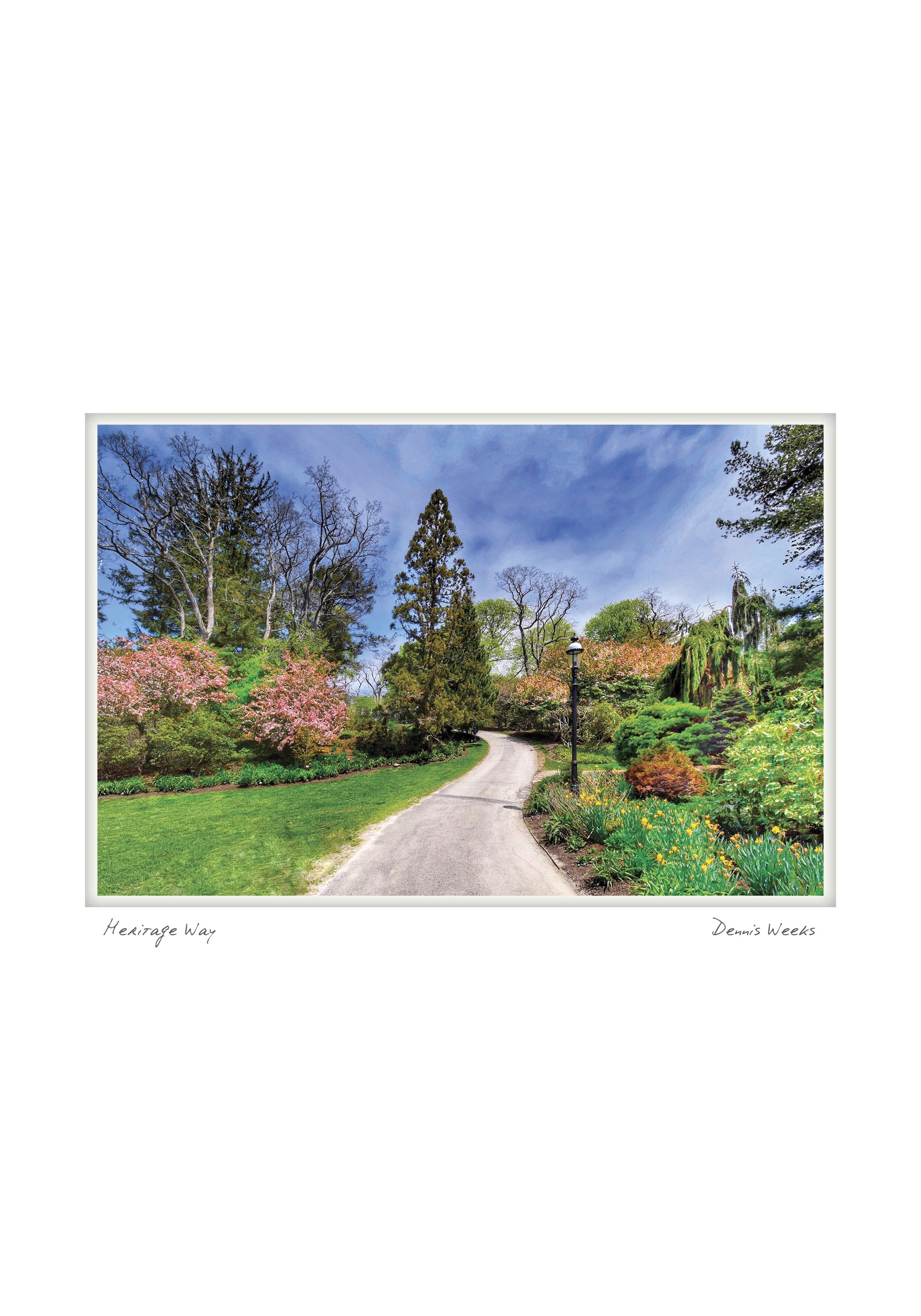 heritage way NOTECARD_5X7_horiz.jpg
