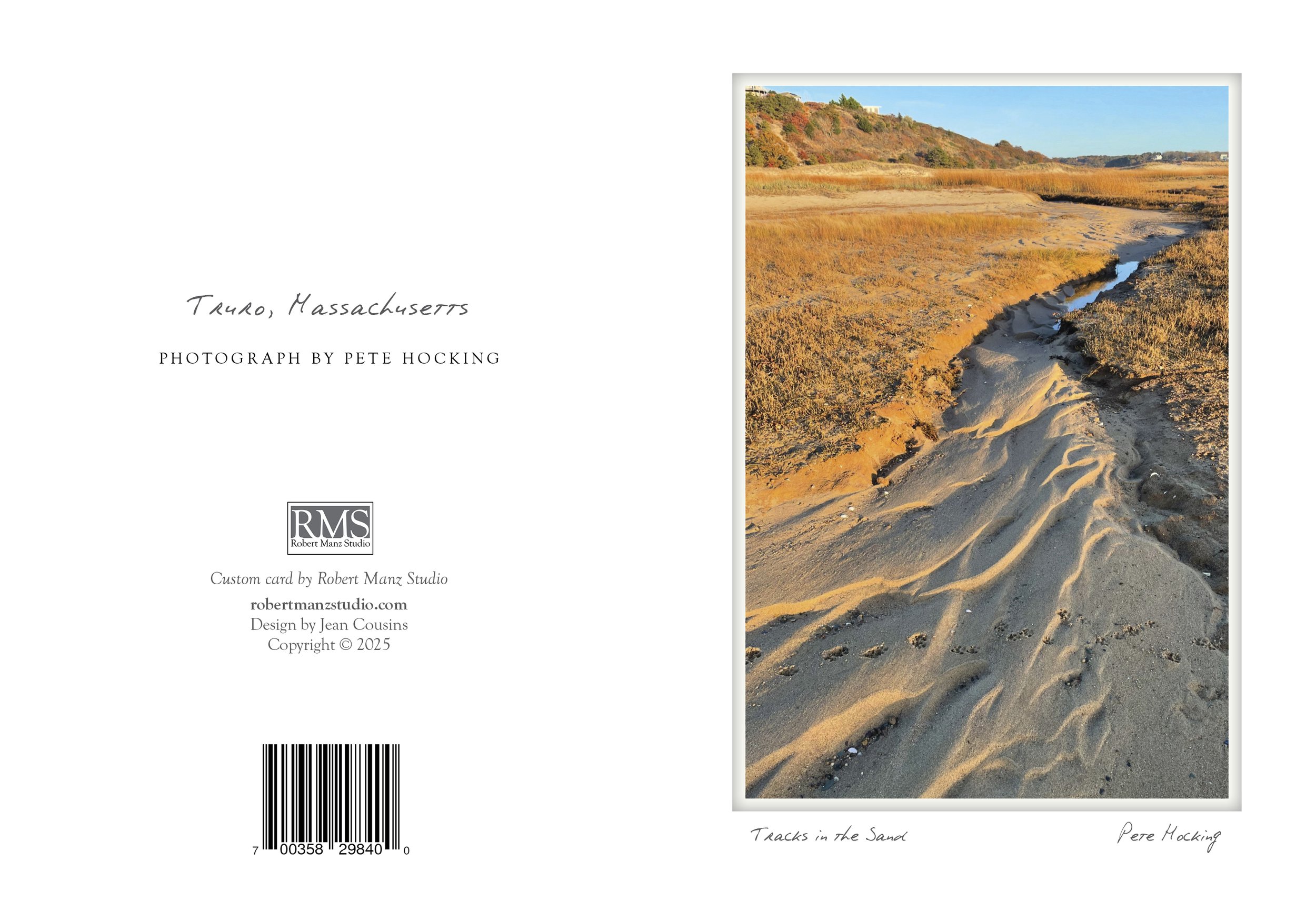 tracks in the sand NOTECARD_5X7_vert5.jpg