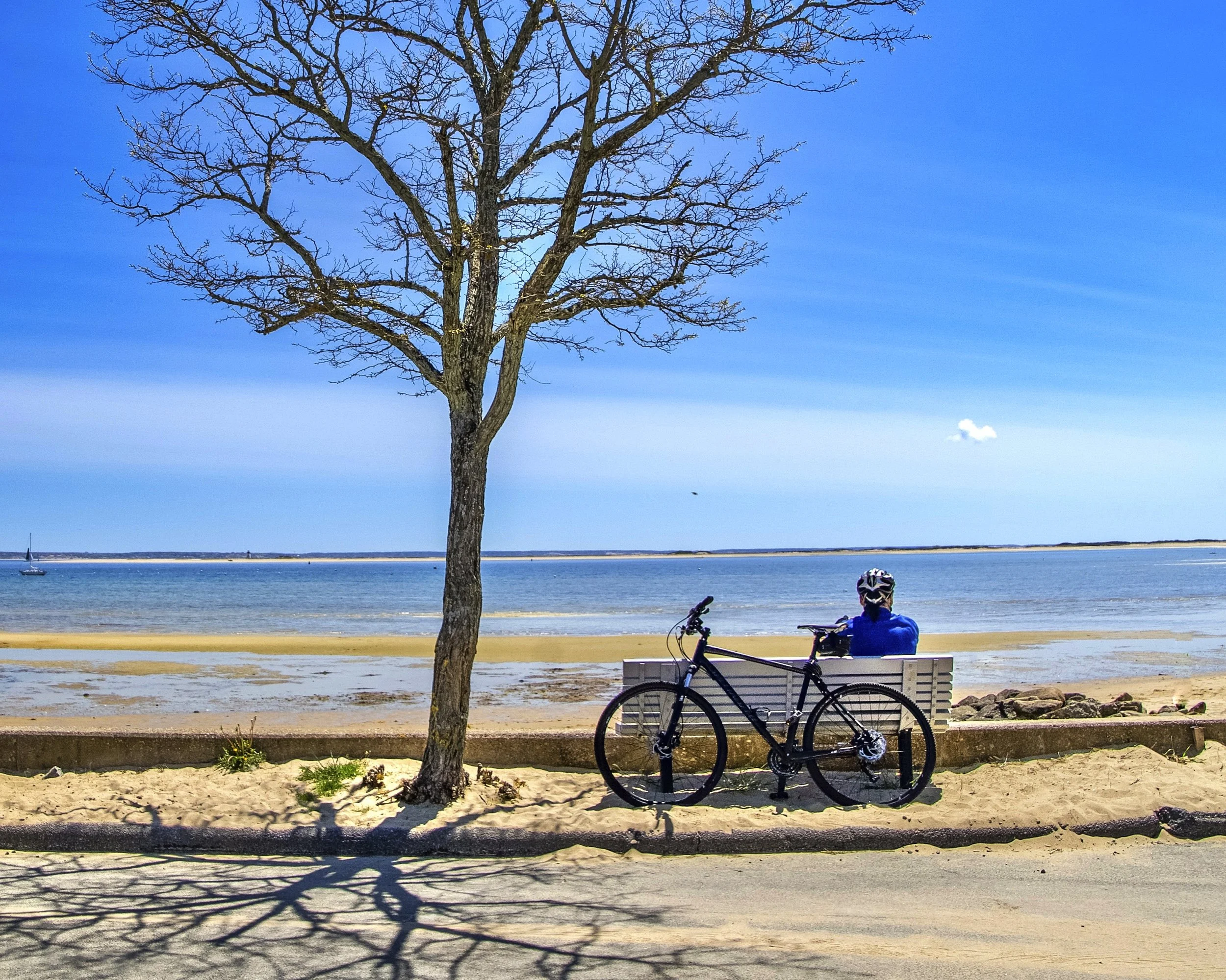 3 5 provincetown-march-2027_54807800908_o.jpg