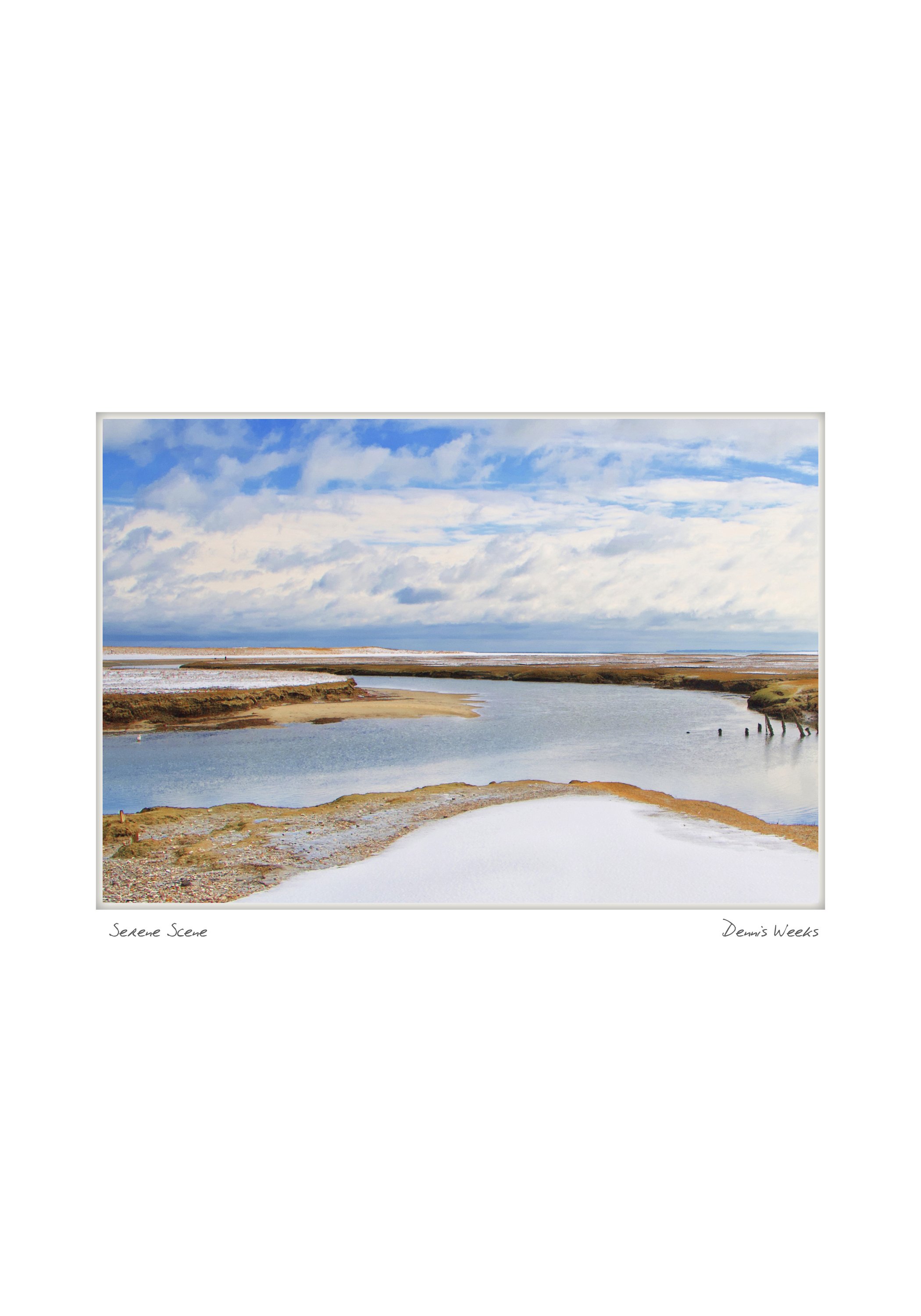 half serene scene NOTECARD_5X7_sandwich2.jpg