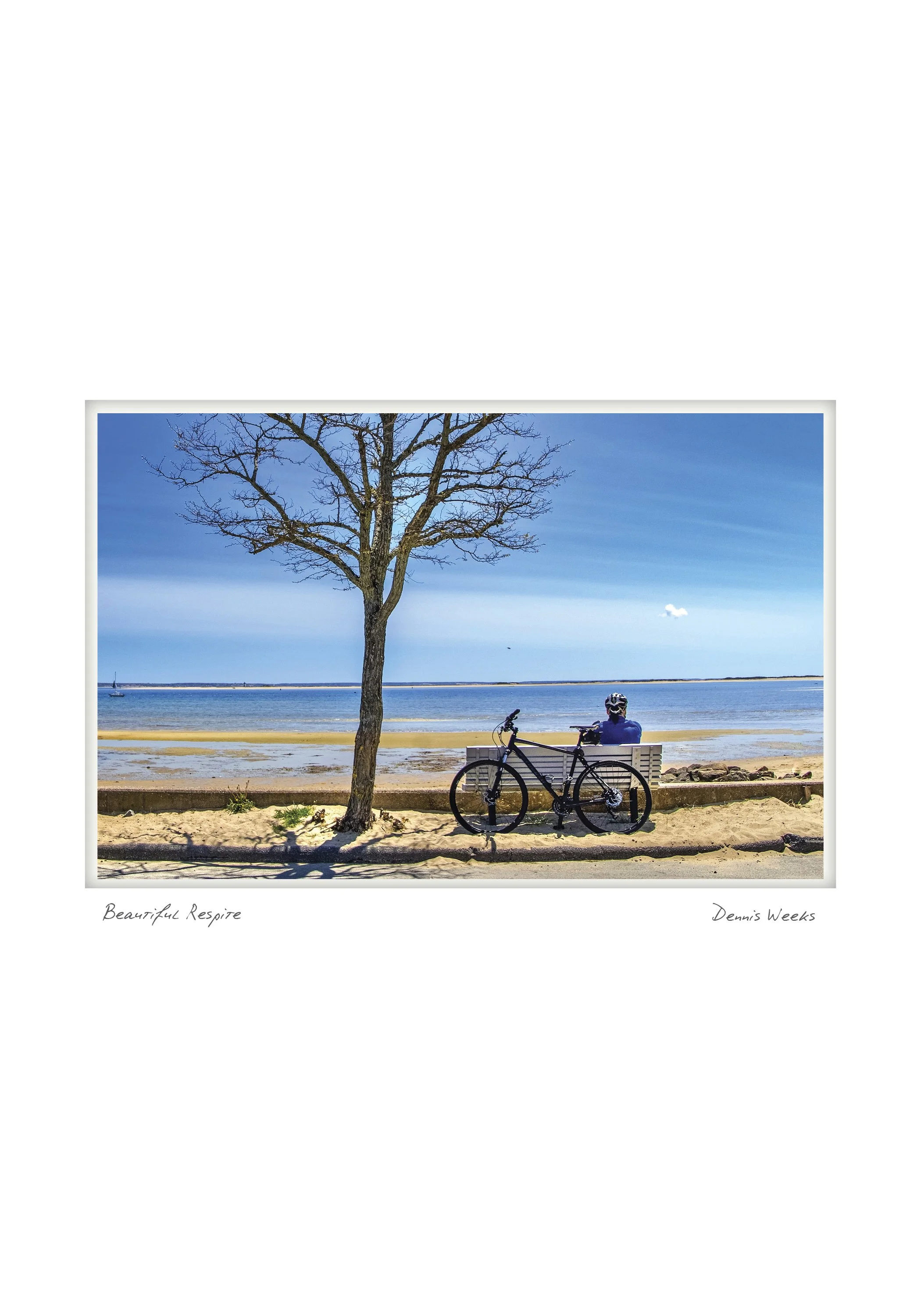 Note Card Set for 2027 Provincetown Calendar: Photographs by Dennis Weeks