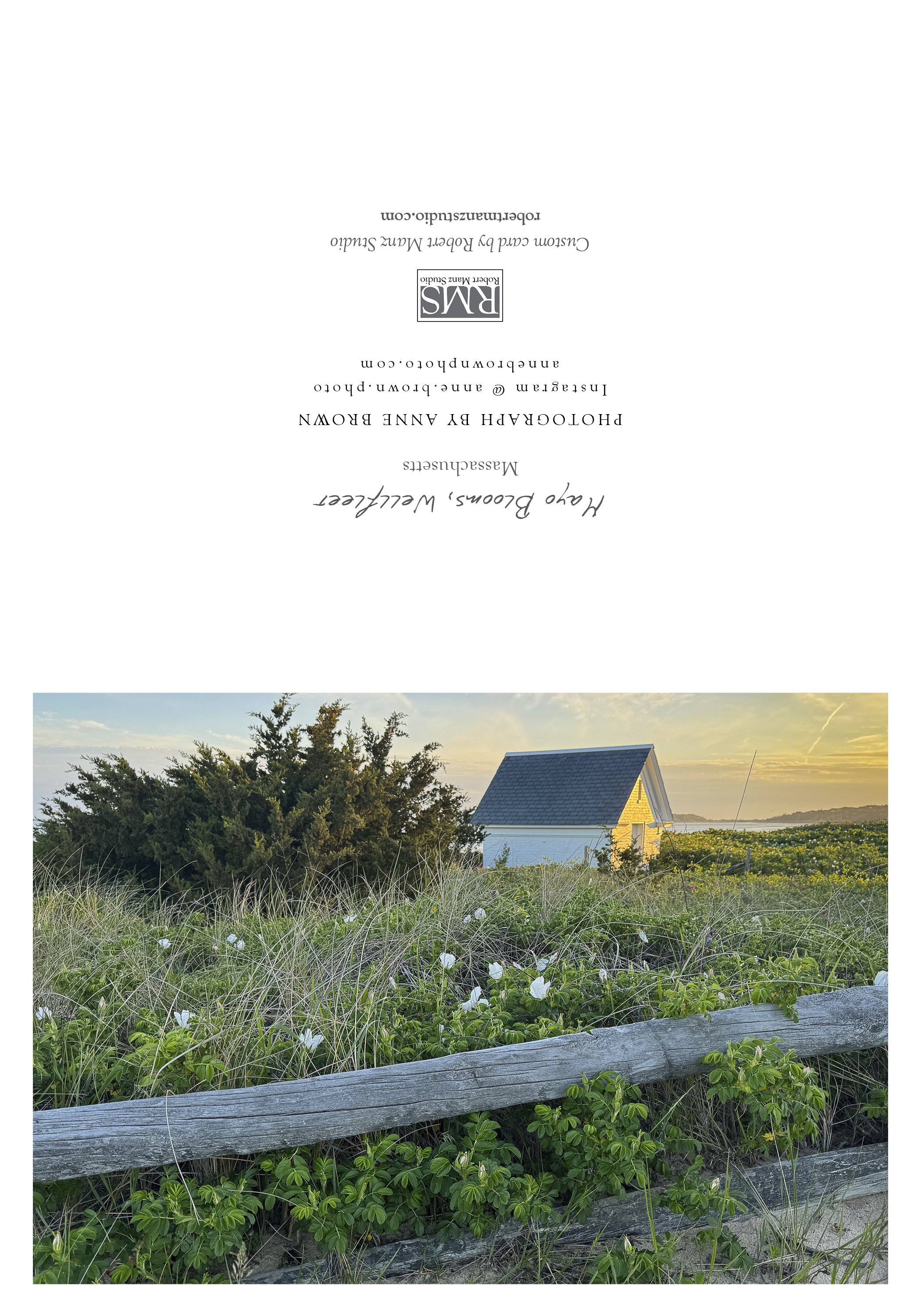 NOTECARD_5X7_horiz_NOmatte no price6.jpg