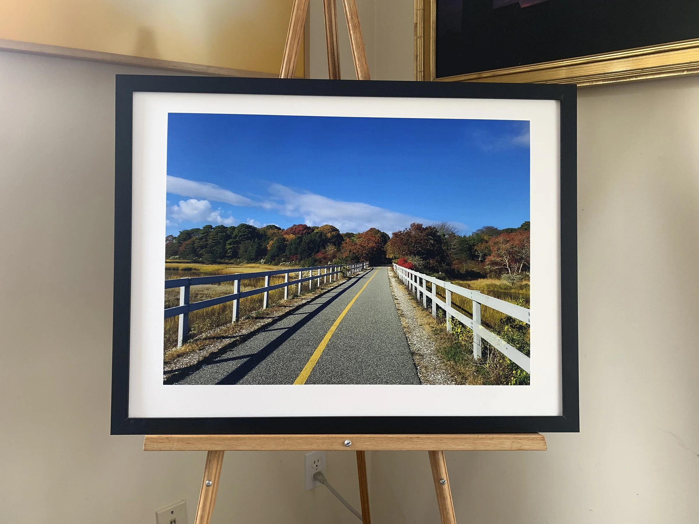 Bike Path West Falmouth by Sarah Elizabeth Murphy