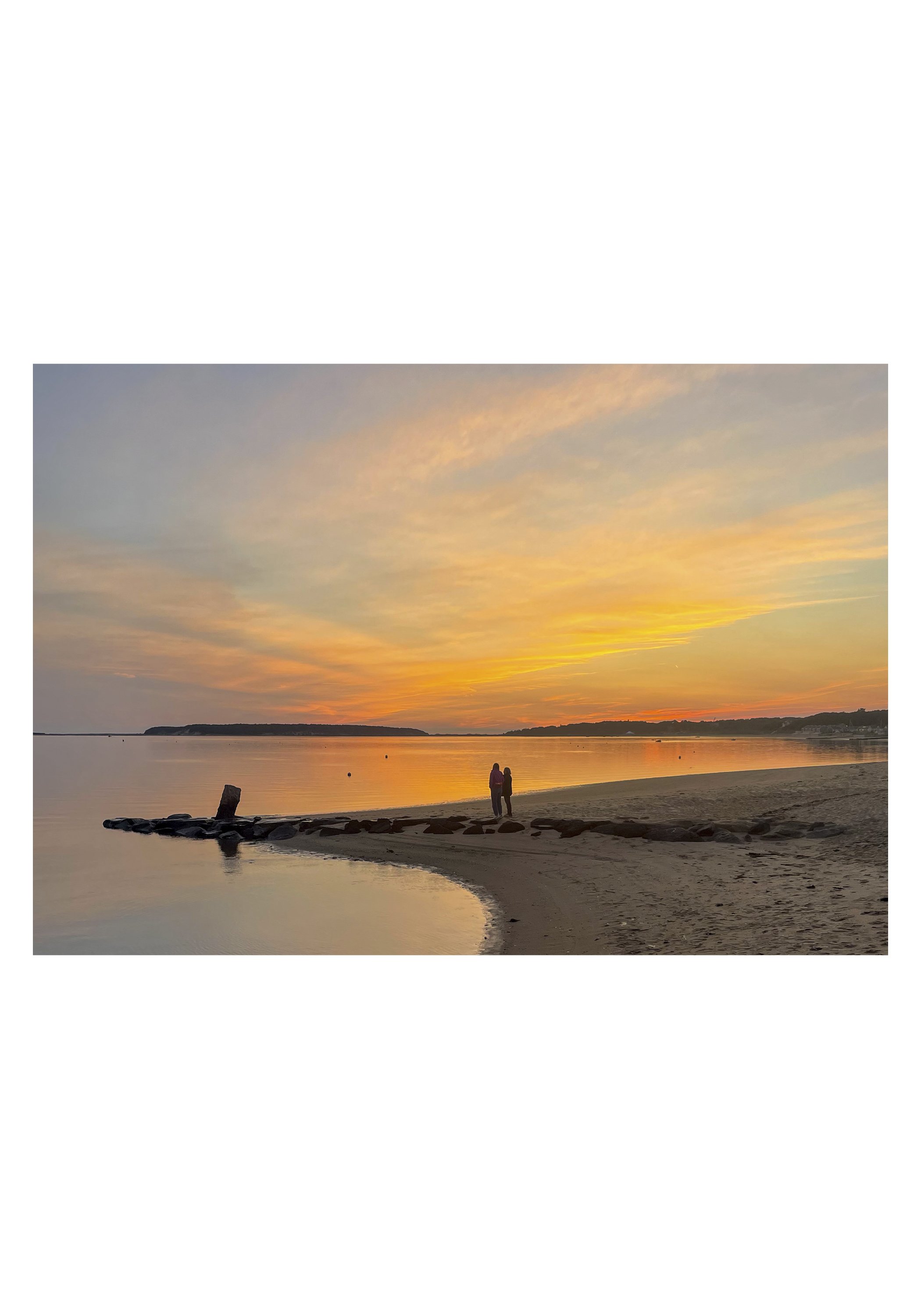 half NOTECARD_5X7_horiz_NOmatte no price6.jpg