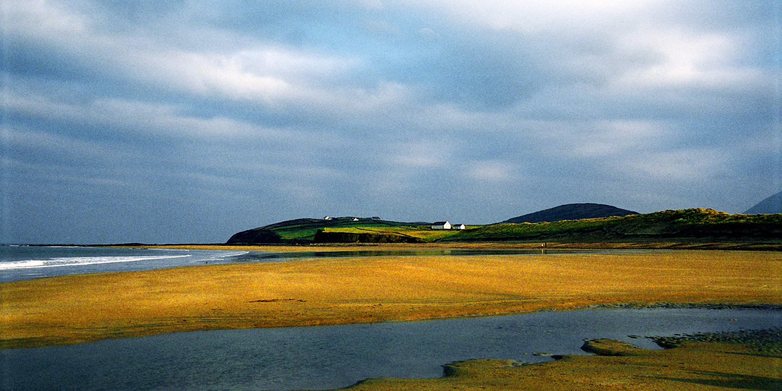 web 06123101_11_4000_crop_adobe.jpg