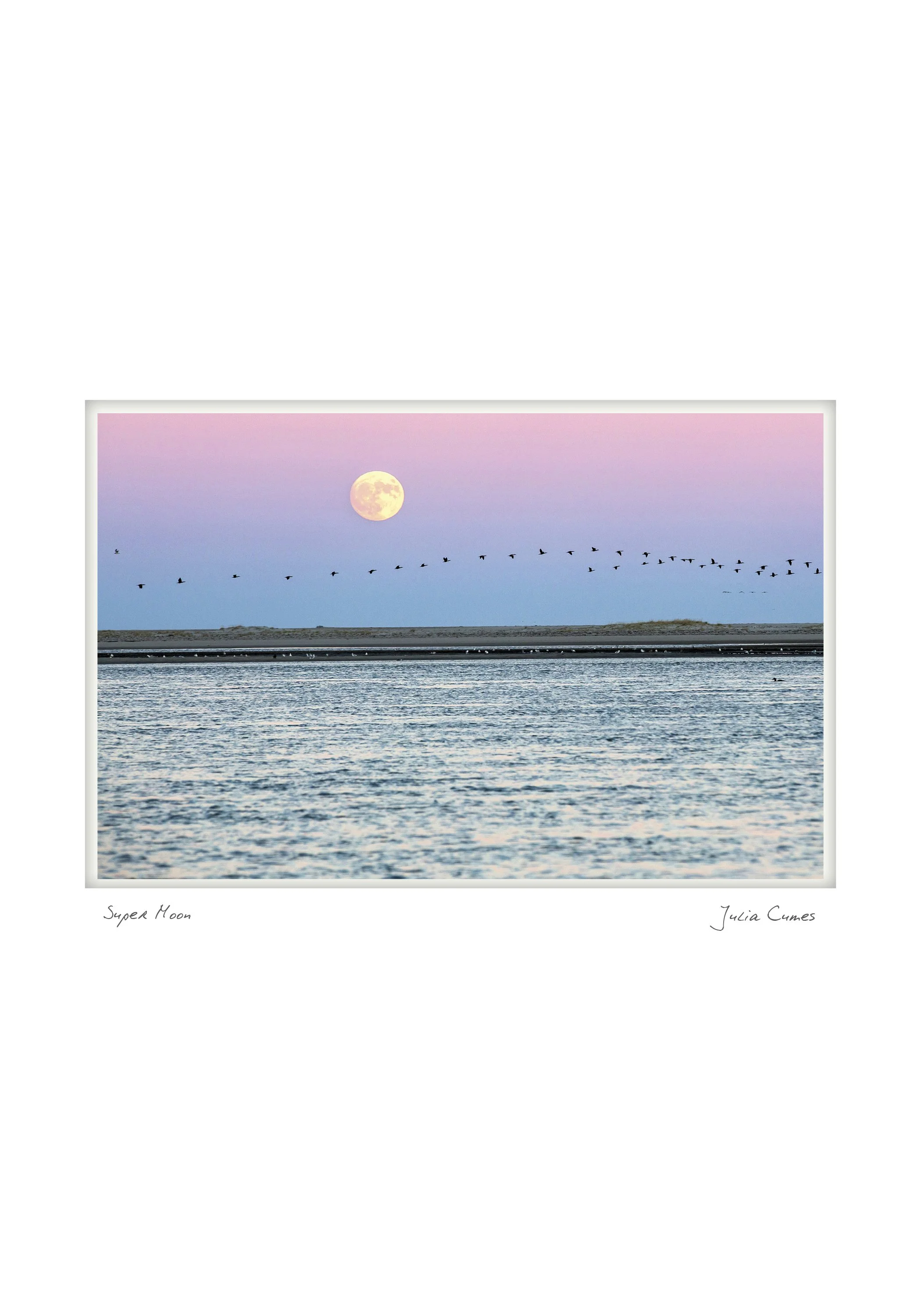 11 NOTECARD_5X7_horiz12.jpg