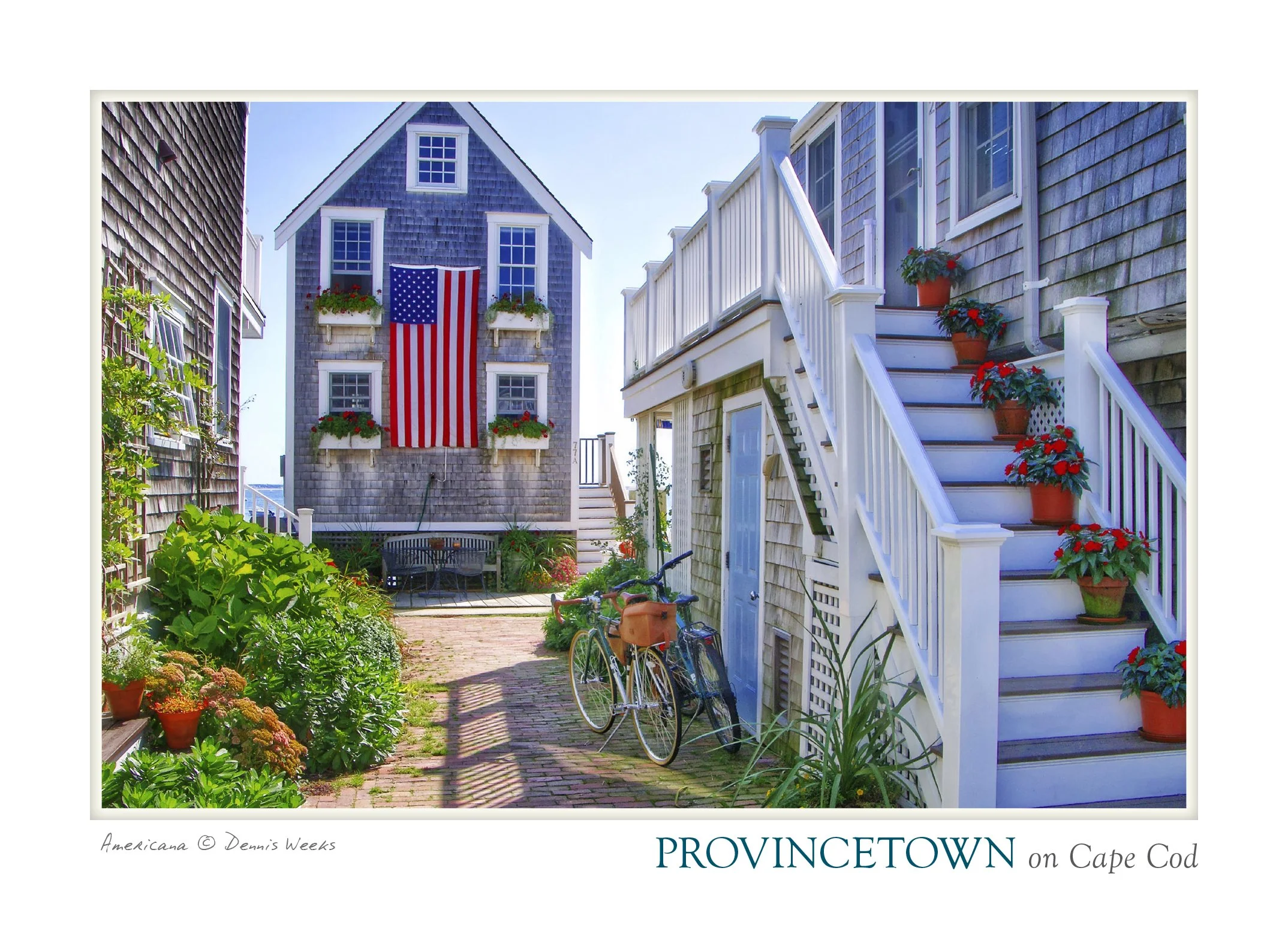 POSTCARD_5X7_5 copy.jpg