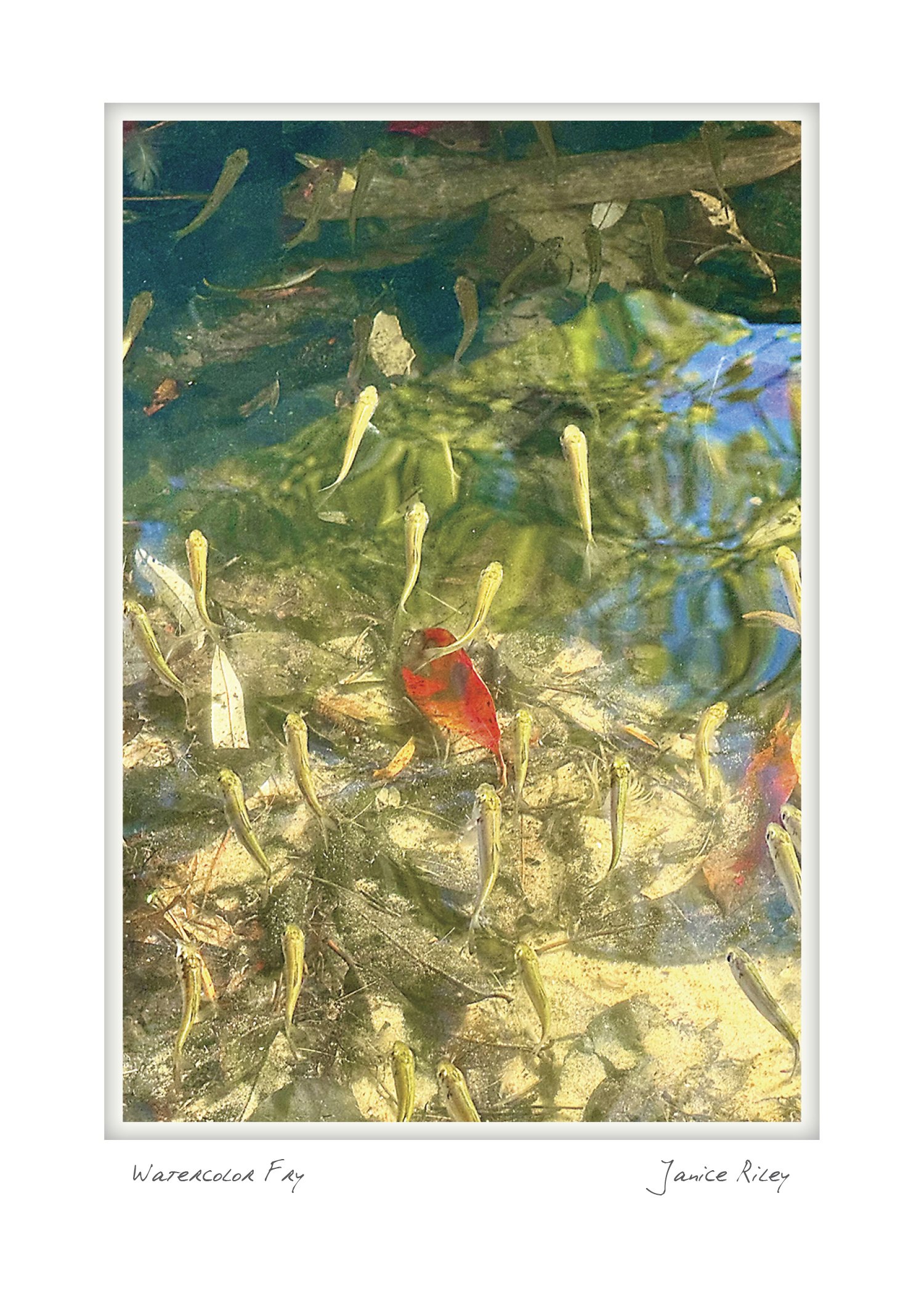 NOTECARD_5X7_vert3.jpg