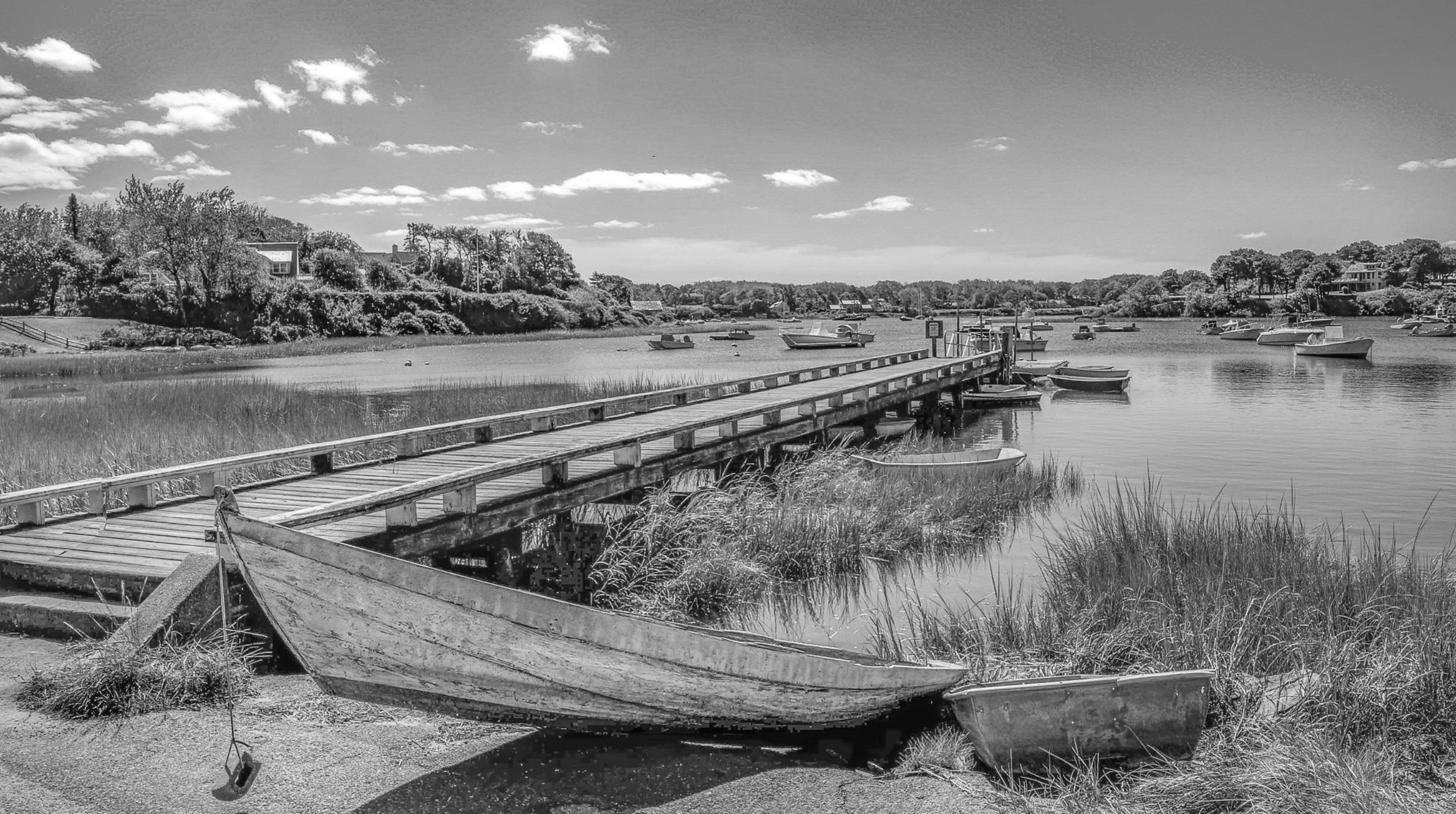 7 mill pond monochrome weeks flickr 260730