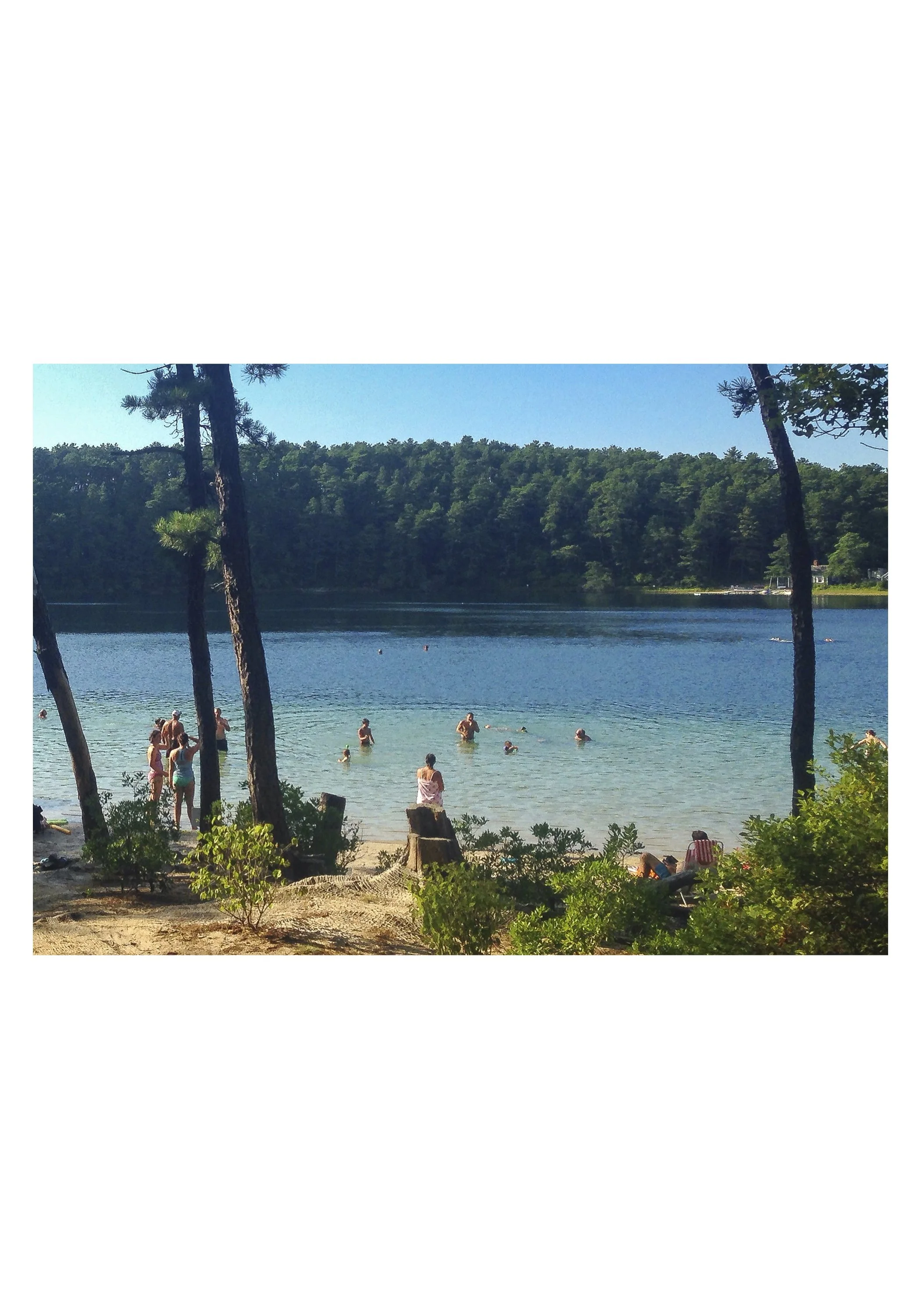 7 half NOTECARD_5X7_horiz_NOmatte no price10.jpg