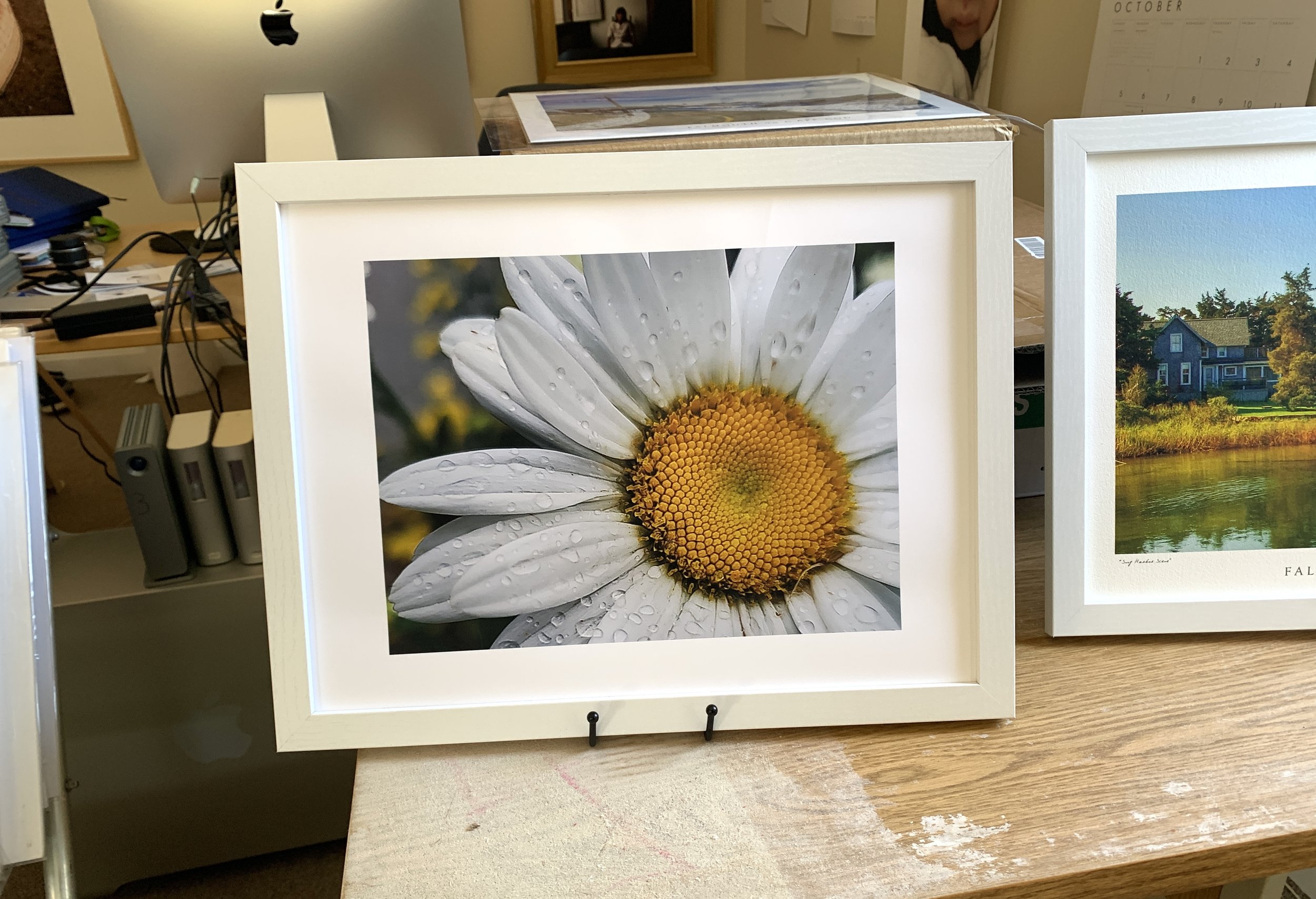 Print - "Dew Drops": Photograph by Colby Fish