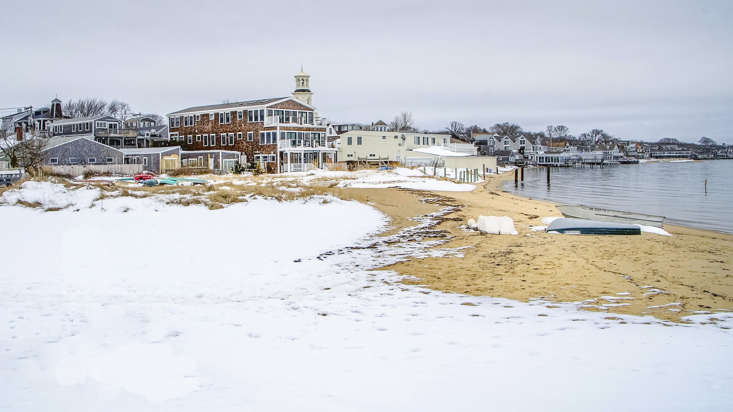 1 1 weeks 55027016984_045d1aed01_o.jpg