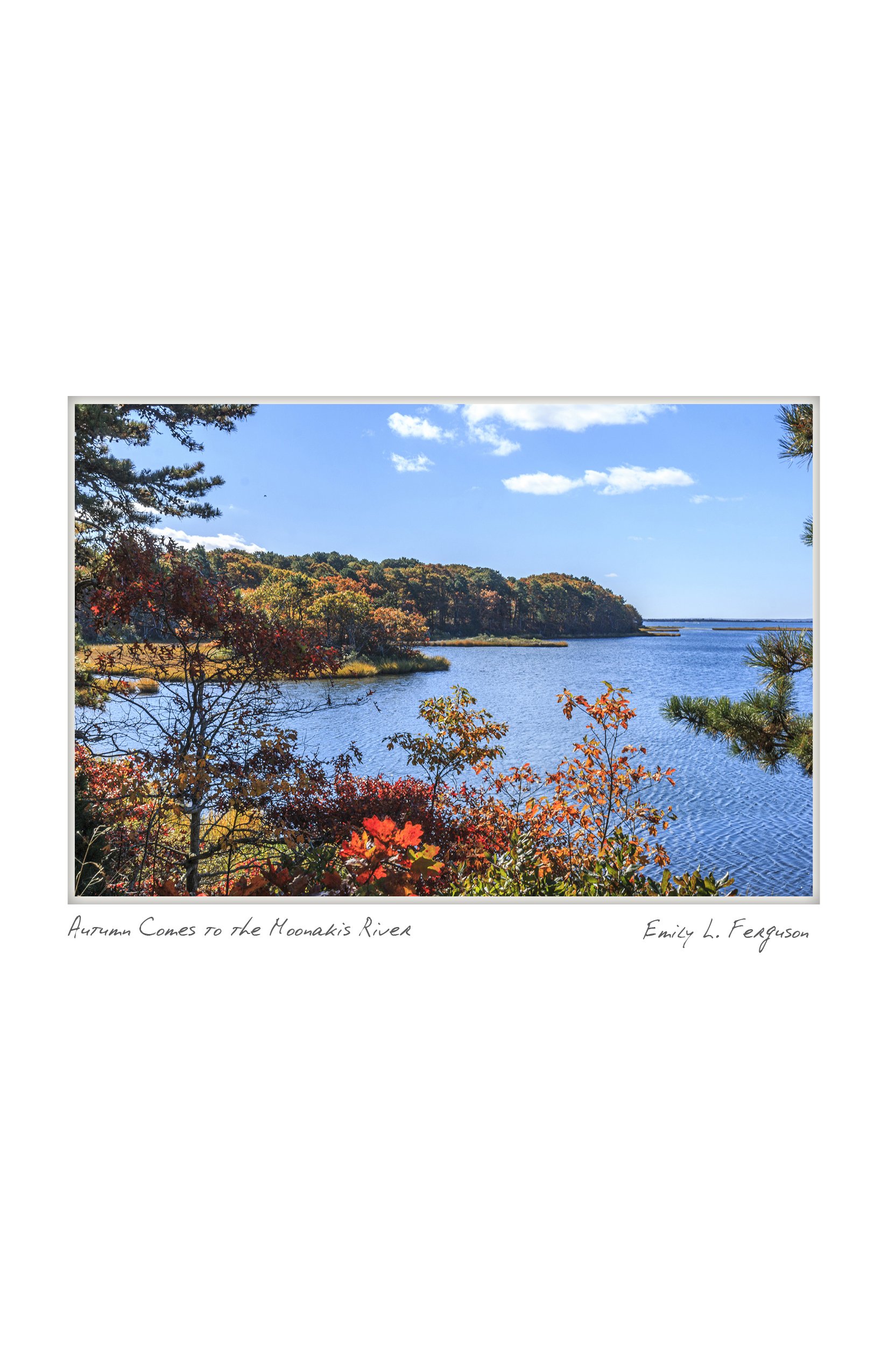 NOTECARD_4x610.jpg