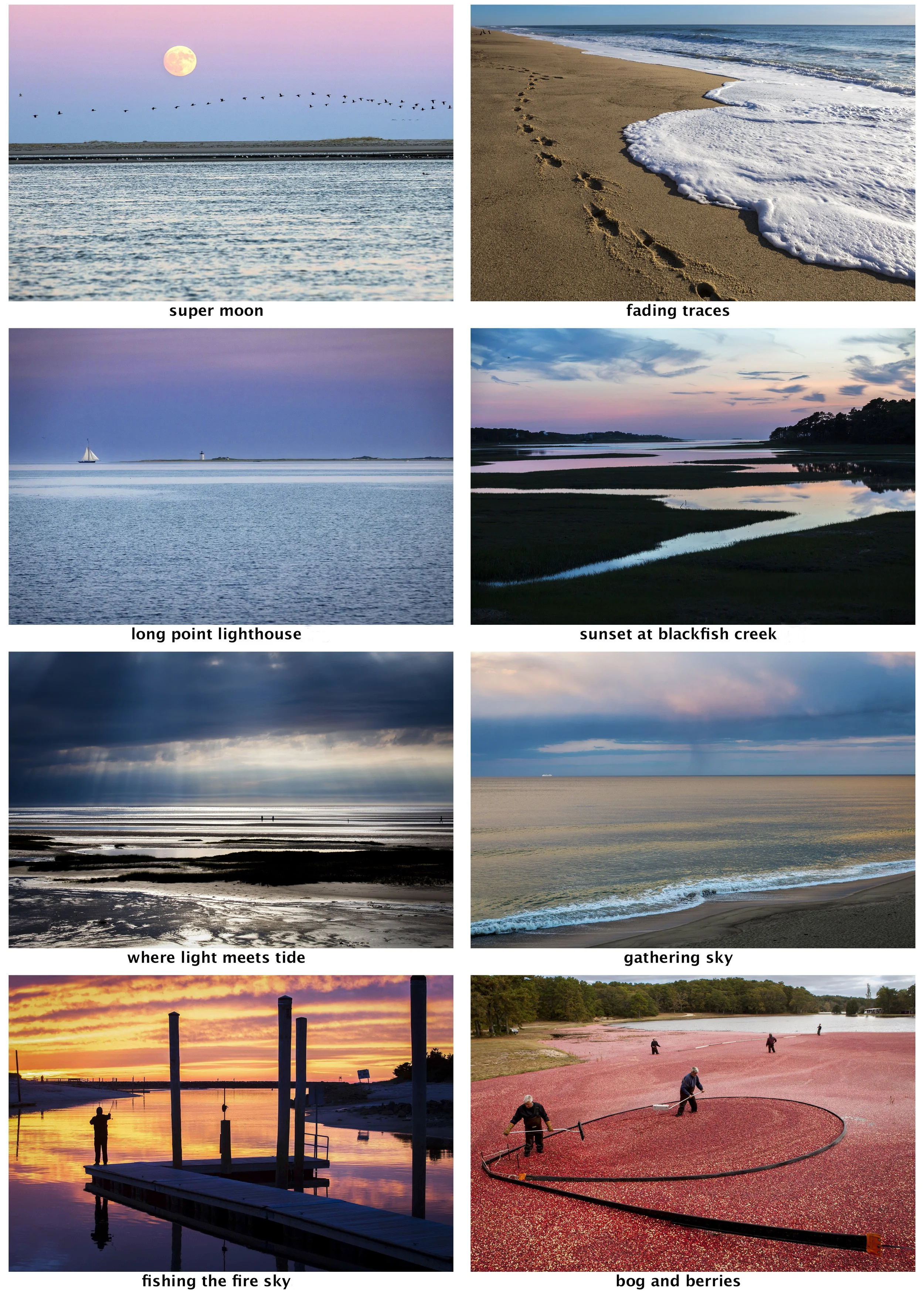 Julia Cumes Cape Cod Set of Note Cards - "A" - Julia Cumes