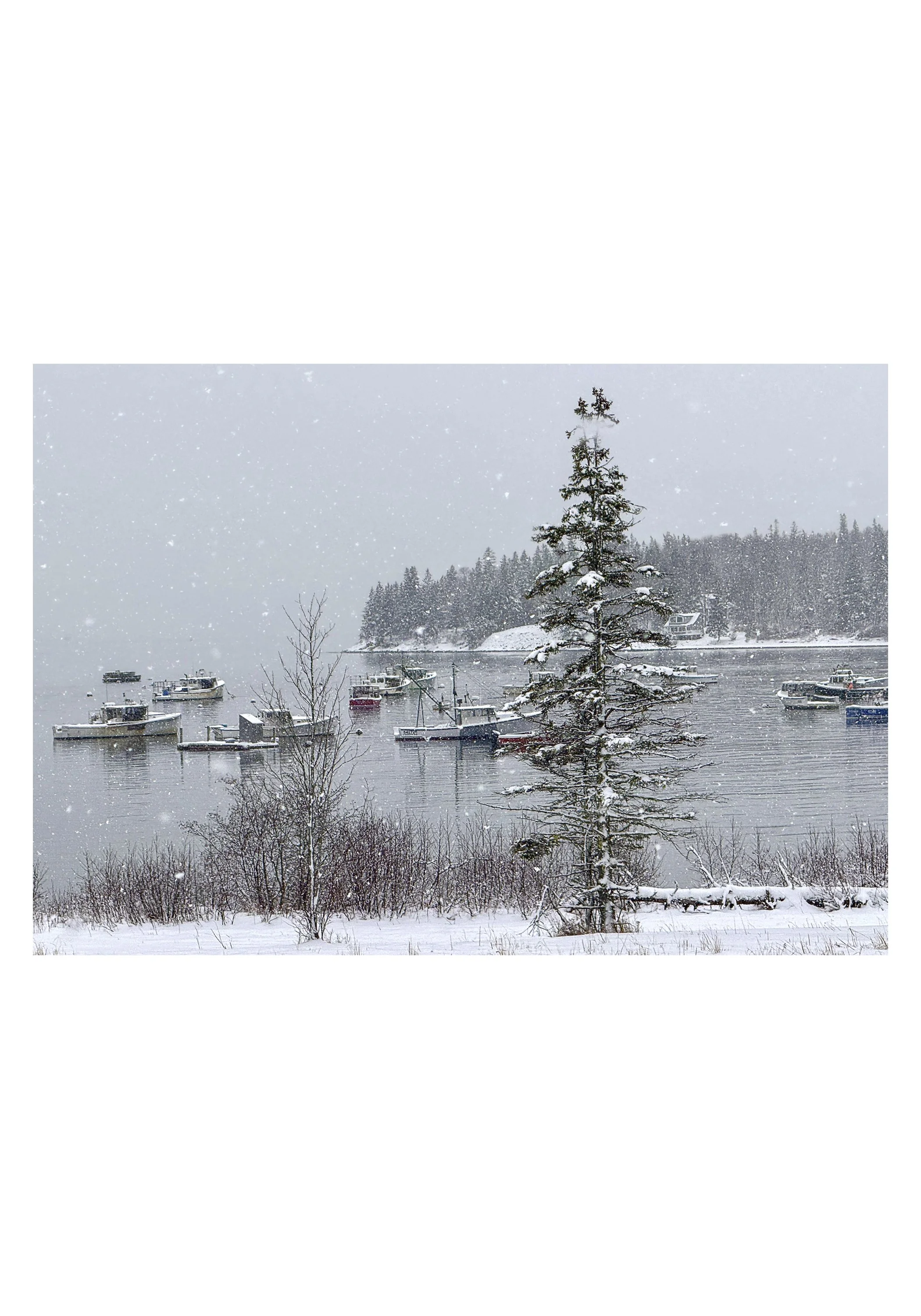 NOTECARD_5X7_horiz_NOmatte no price12.jpg