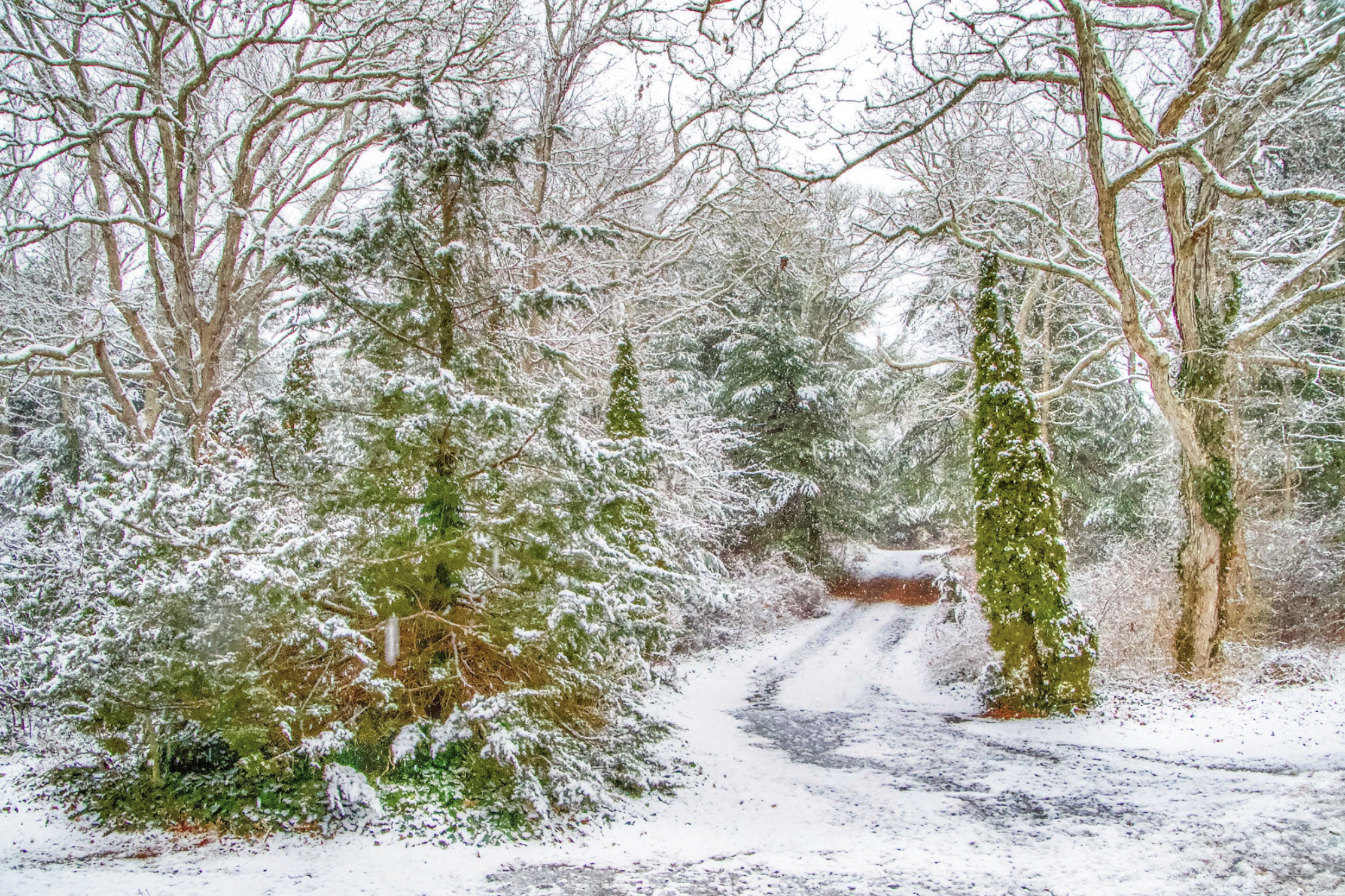 2 winter trail weeks flickr 260201
