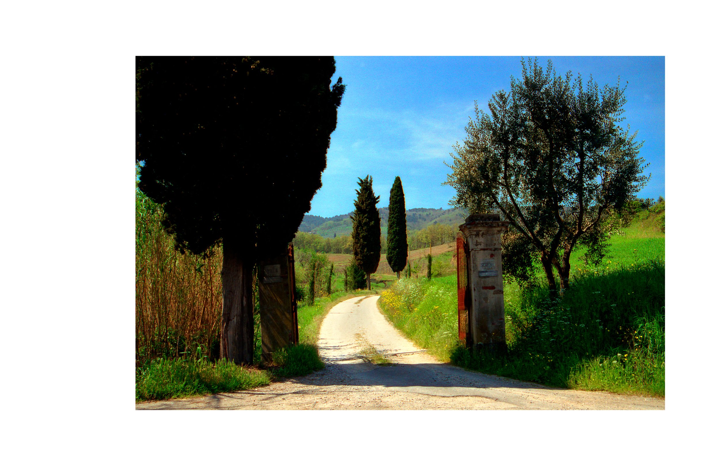 Journeys_8.5X5.55.jpg
