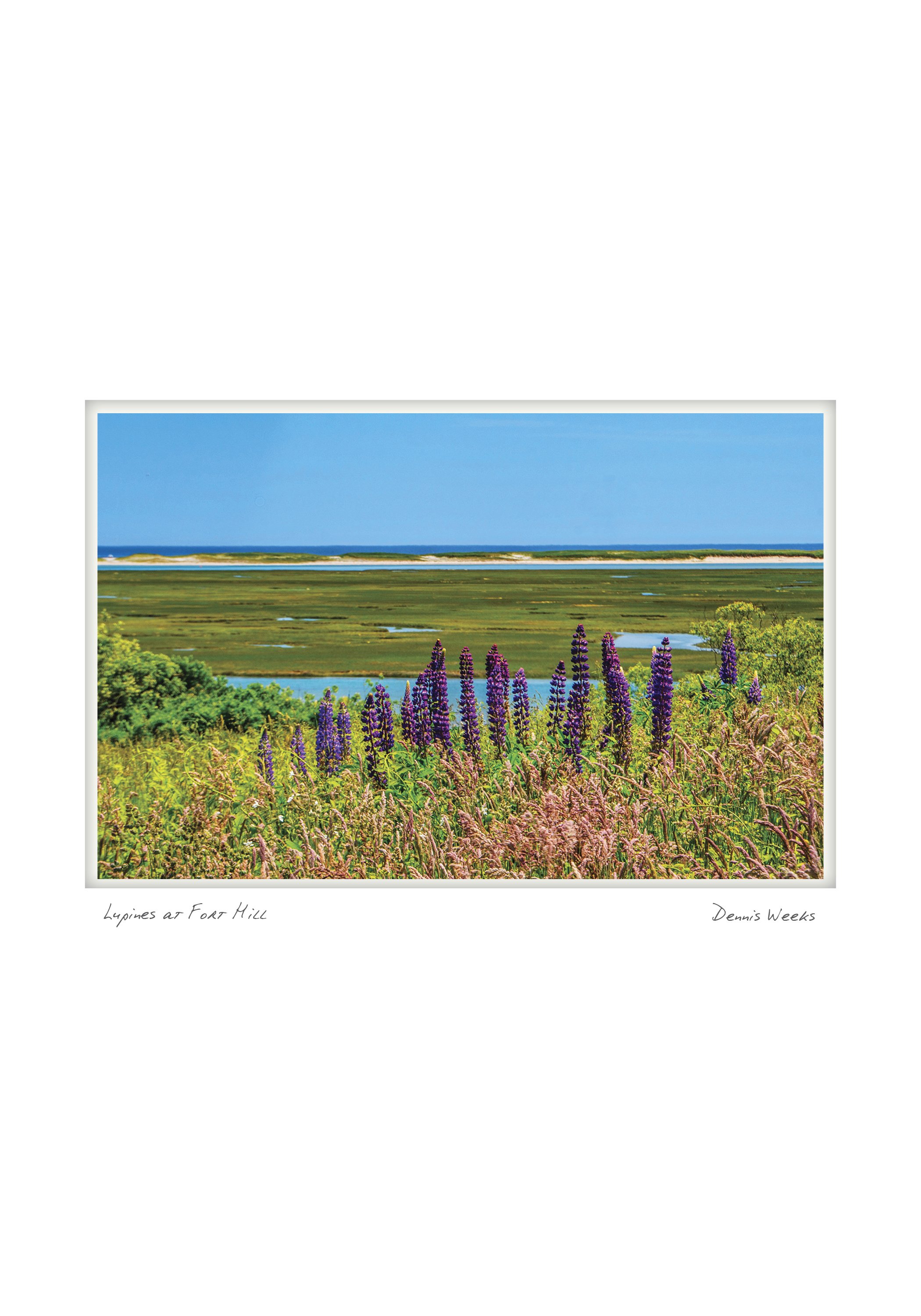 Eastham NOTECARD_5X7_horiz5.jpg