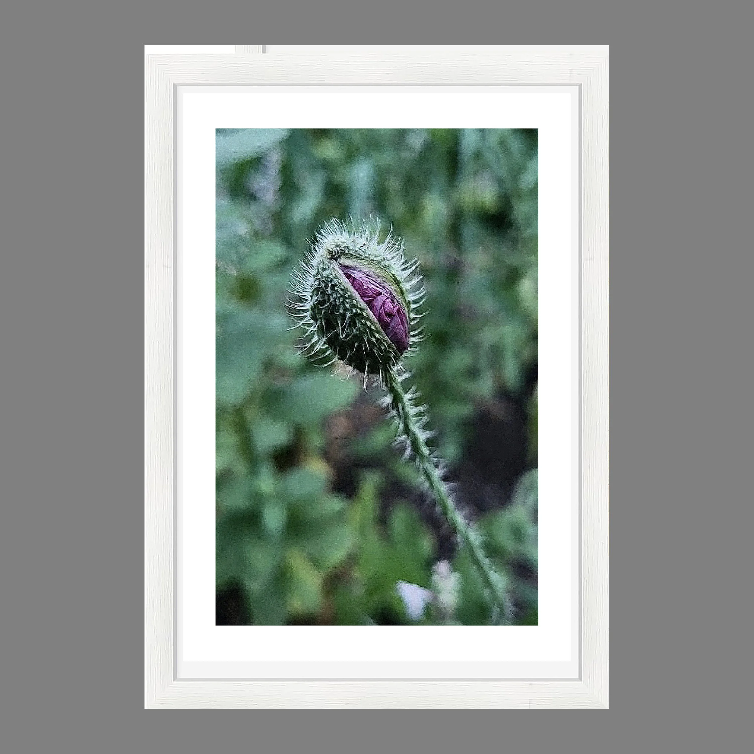 white sample frame 16x24_3600x3600 gray.jpg