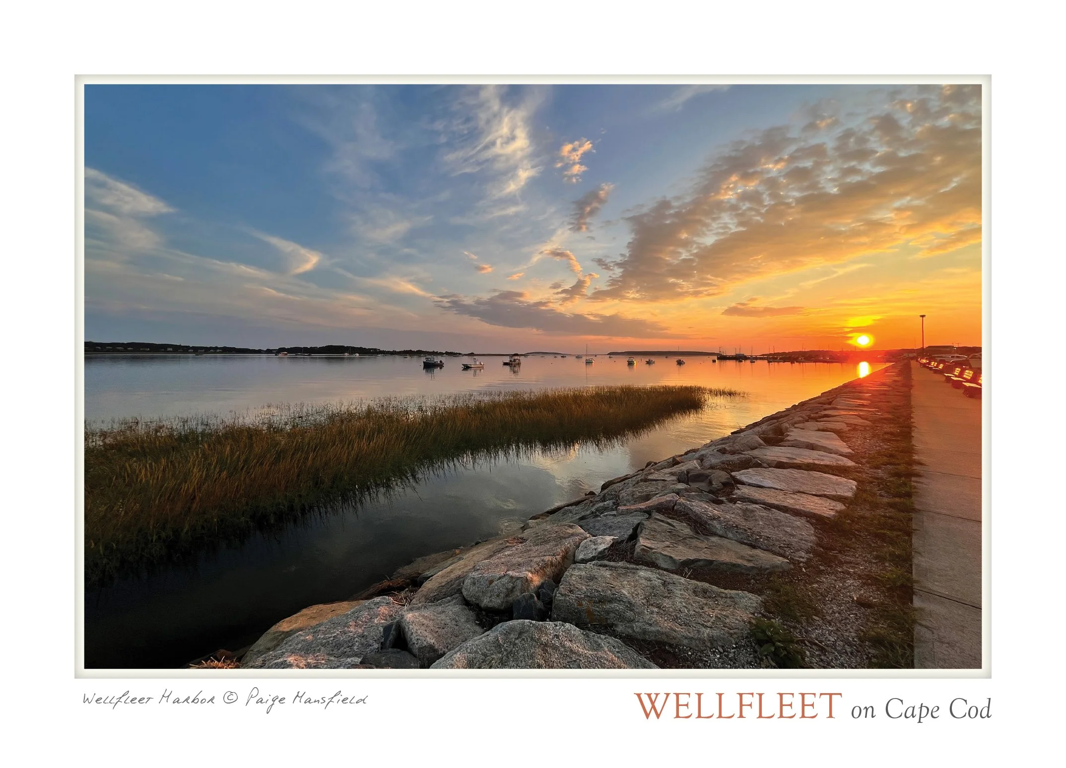 POSTCARD_5X7_1 copy.jpg