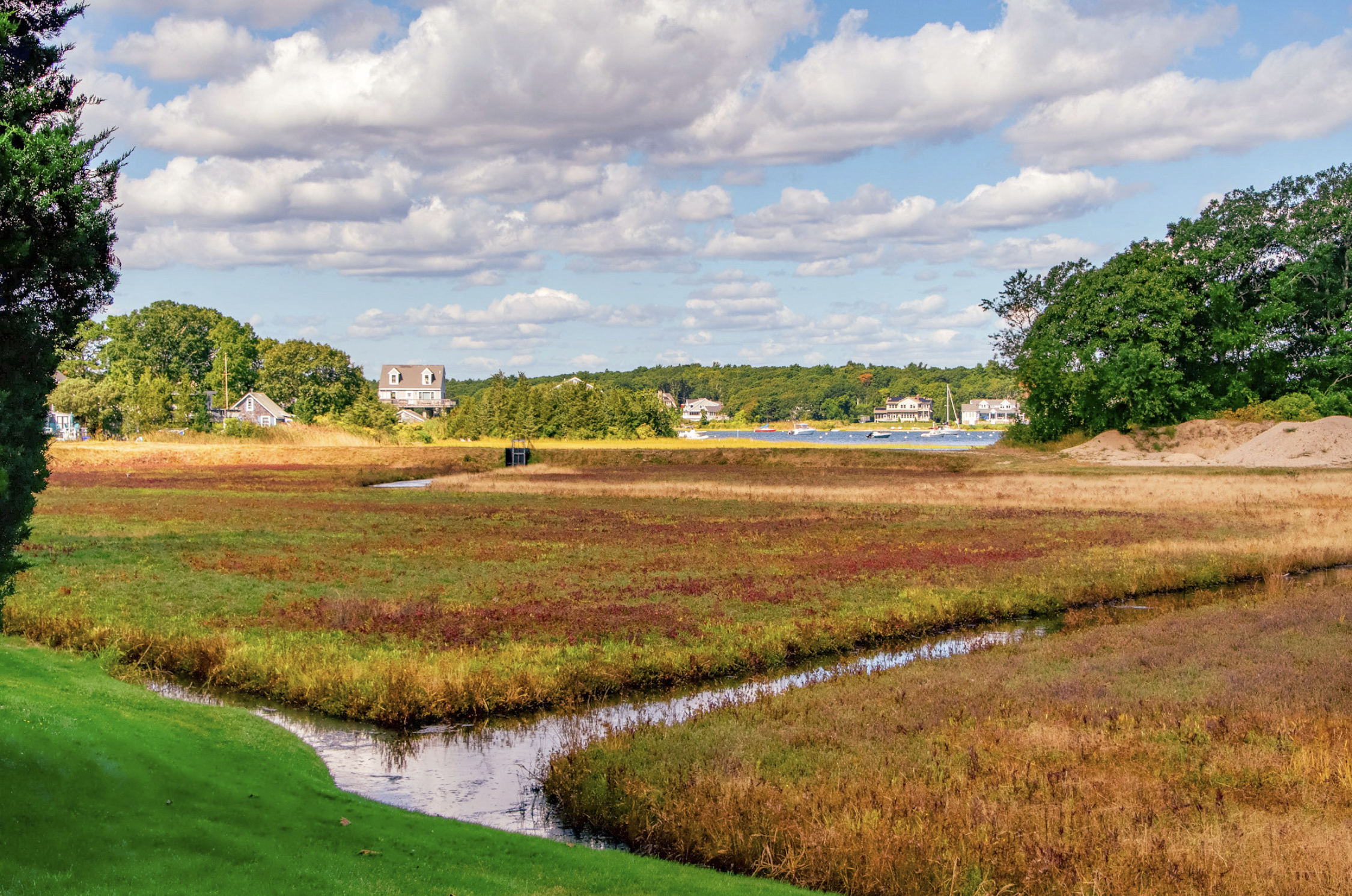 7 Pocasset bog weeks flickr 260724