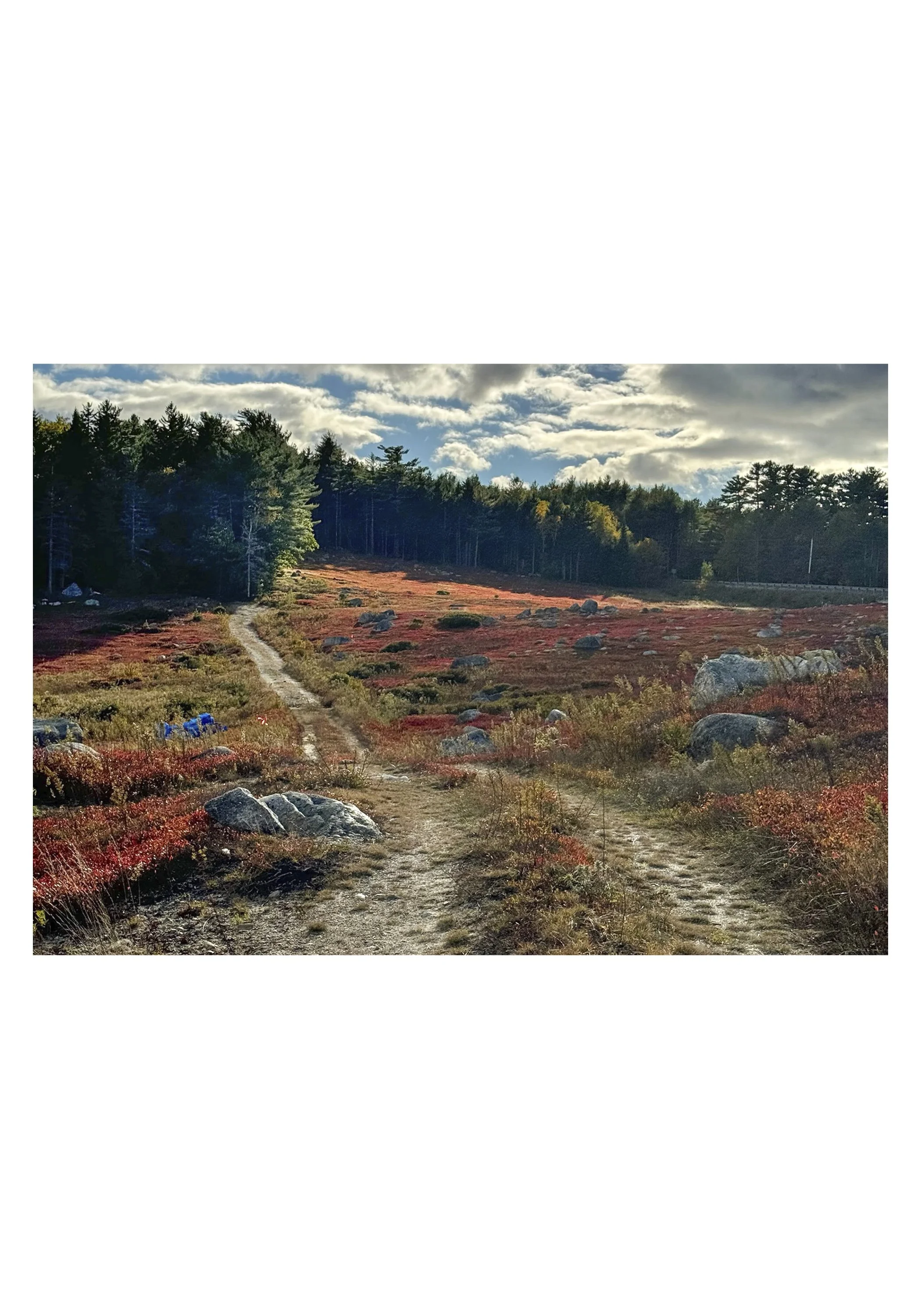NOTECARD_5X7_horiz_NOmatte no price6.jpg