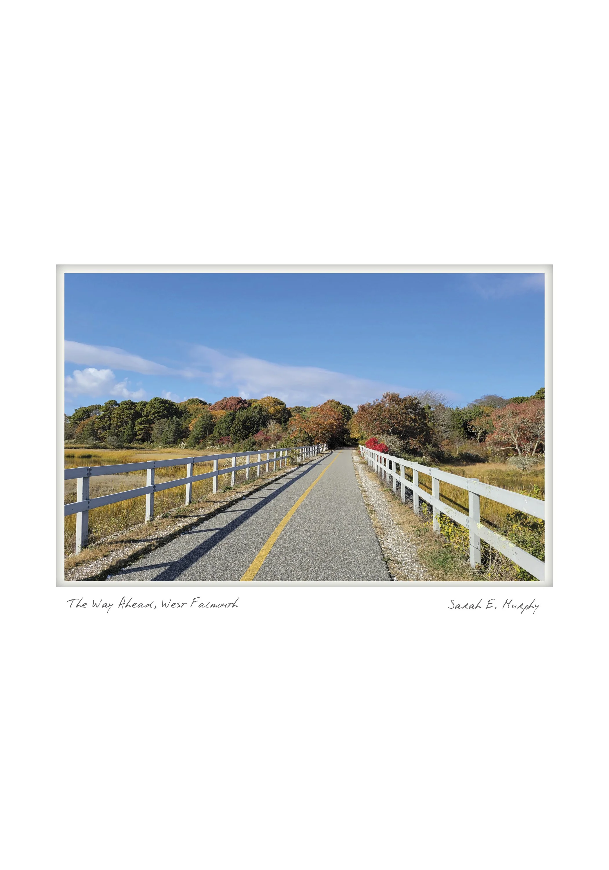 West Falmouth Bicycle Path by Sarah E. Murphy - Falmouth, Massachusetts