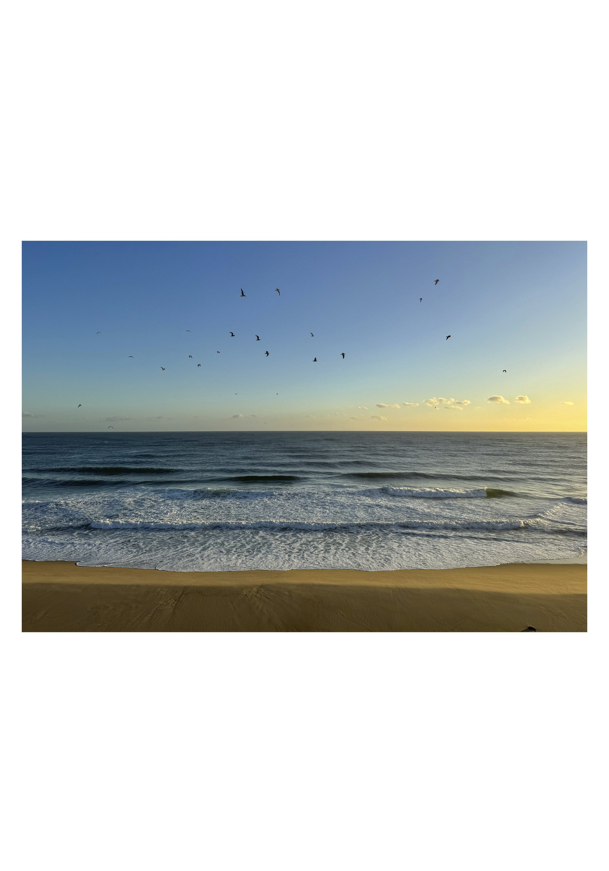 half NOTECARD_5X7_horiz_NOmatte no price7.jpg