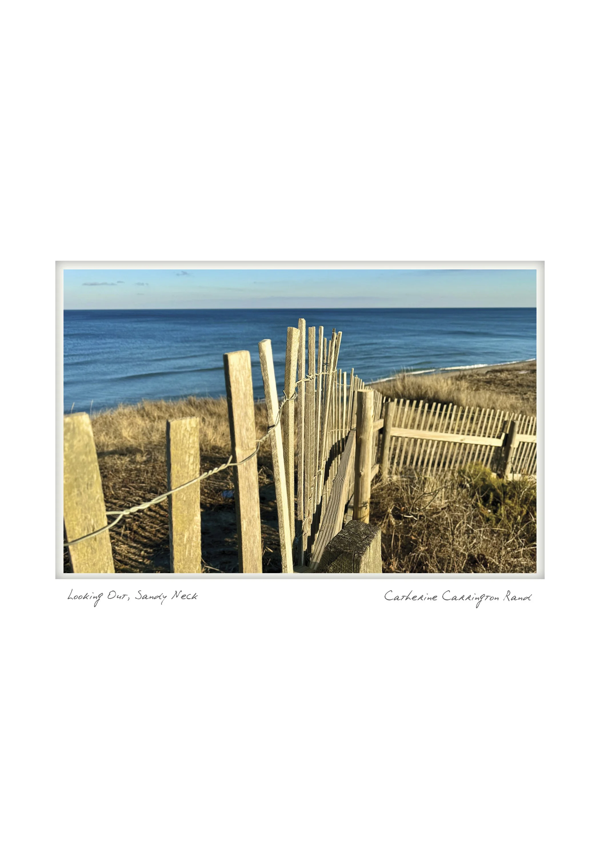 Looking Out, Sandy Neck - Catherine Carrington Rand - West Barnstable, Massachusetts