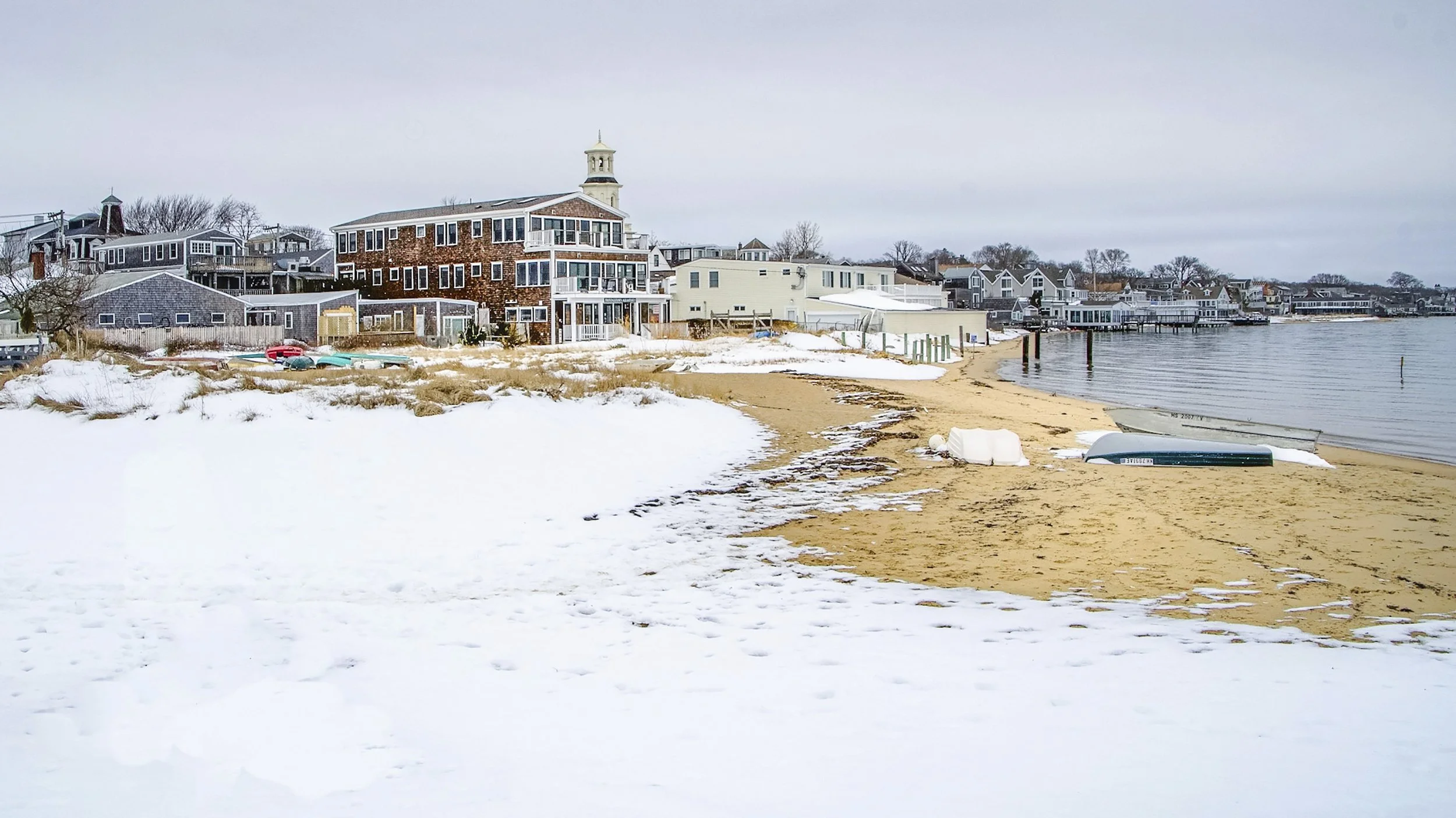 1 1 weeks 55027016984_045d1aed01_o.jpg