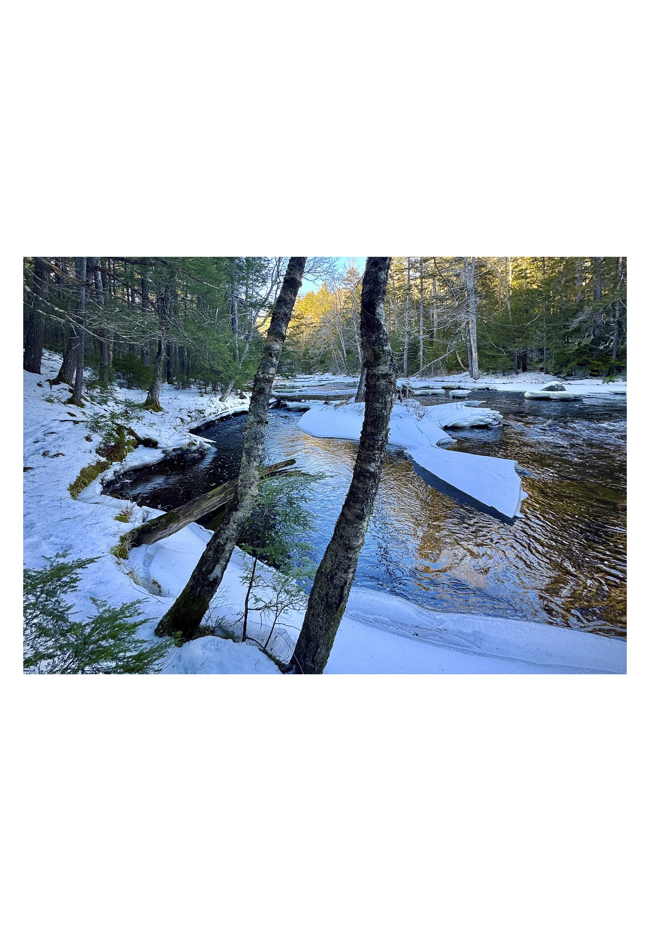 Along the Ducktrap - Anne Brown - Lincolnville, Maine