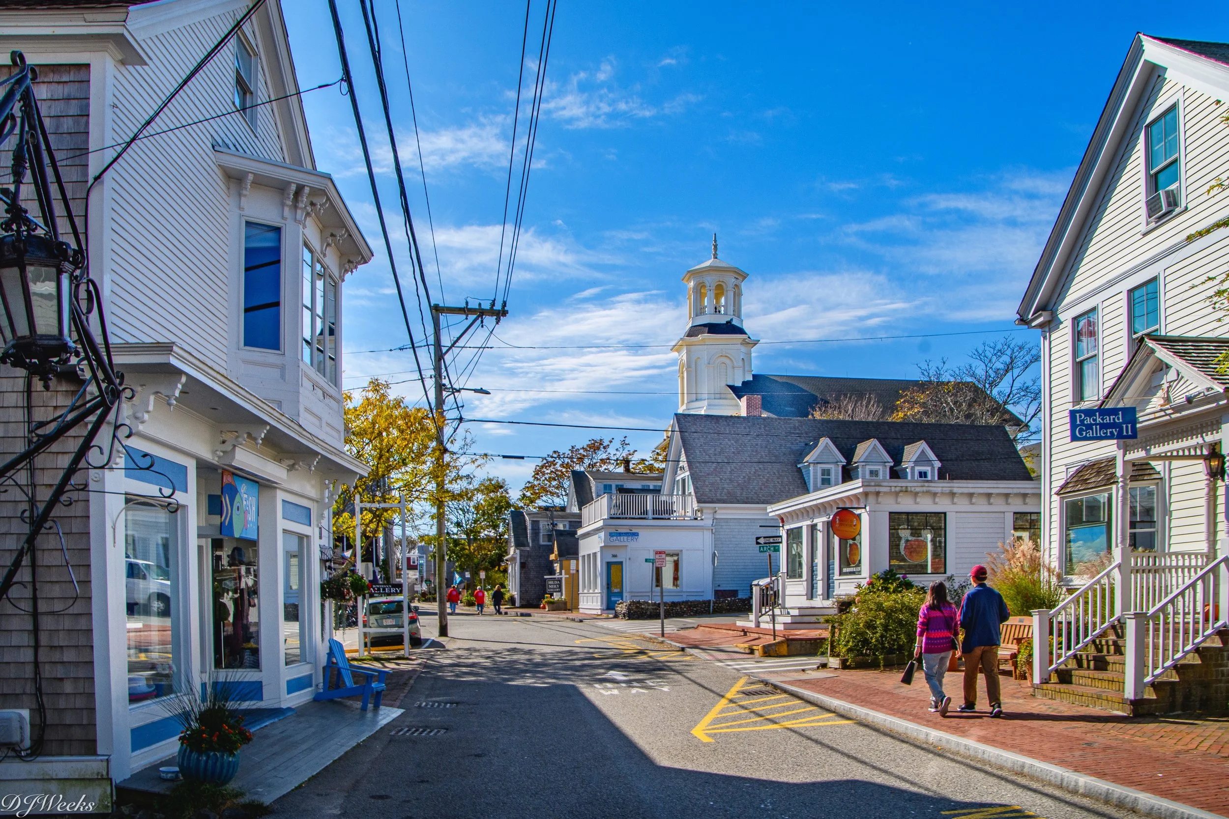 10 weeks 53284262307_01343bf112_o.JPG