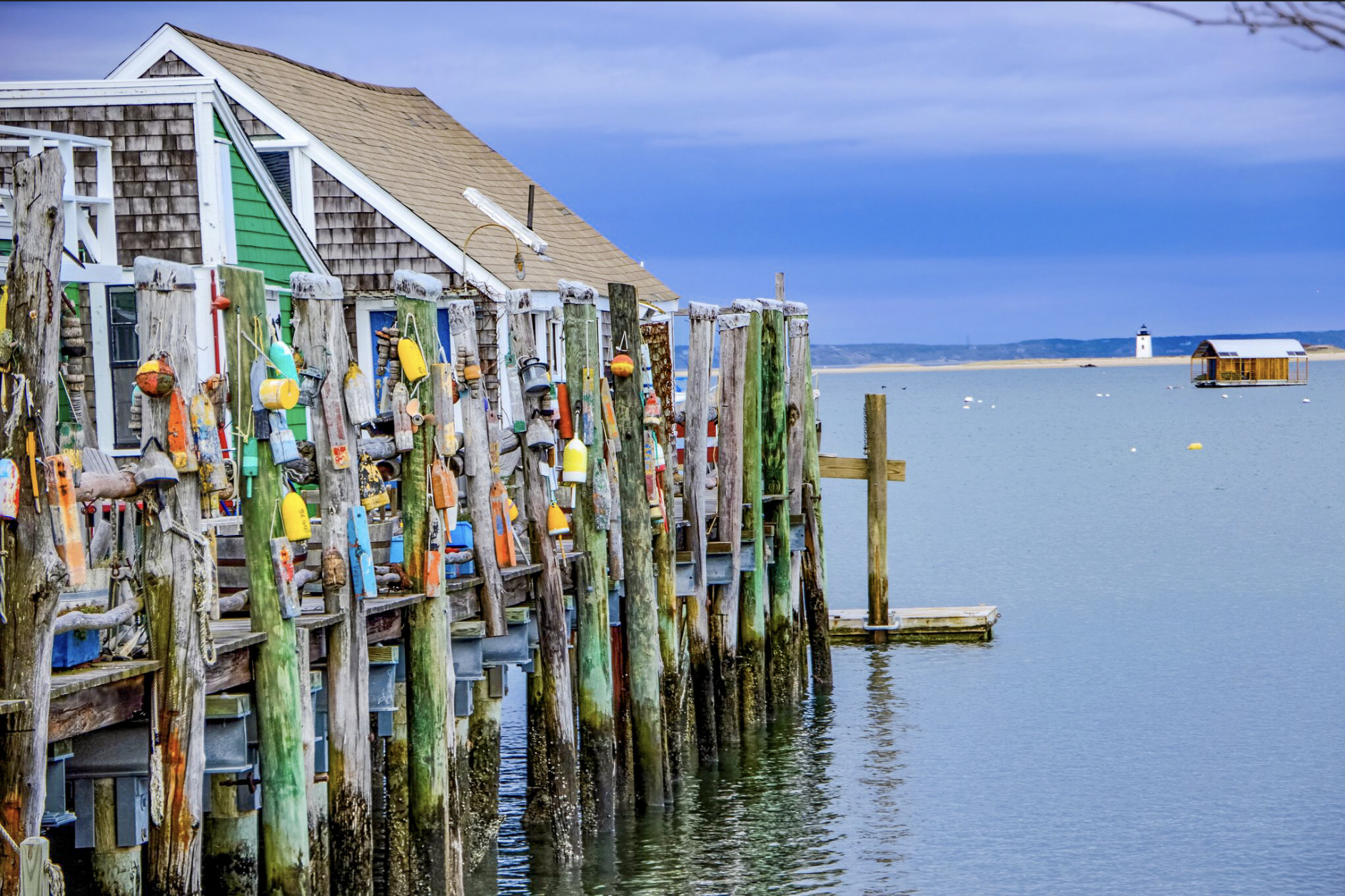 08 8 wharf weeks 220801