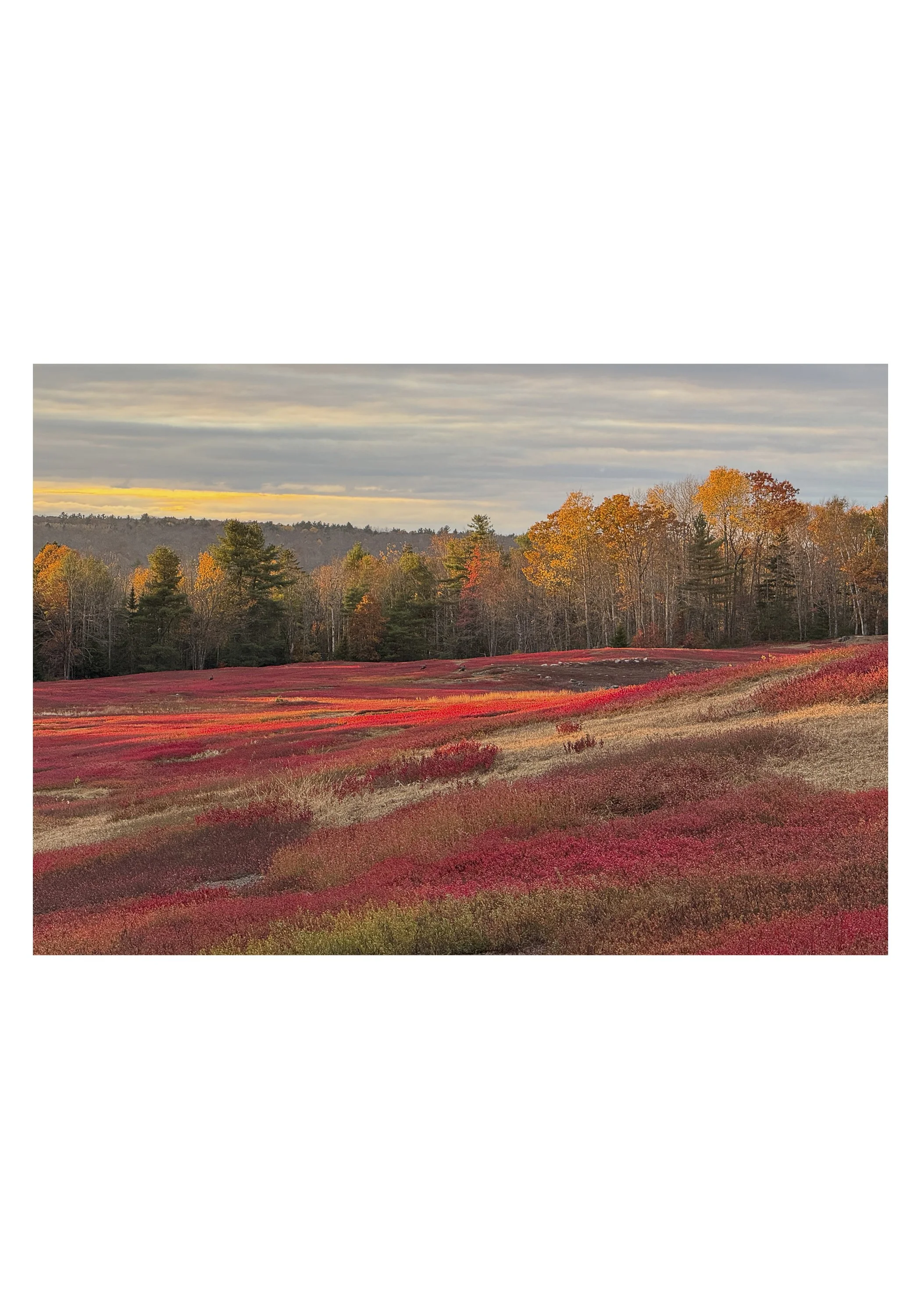 NOTECARD_5X7_horiz_NOmatte no price10.jpg