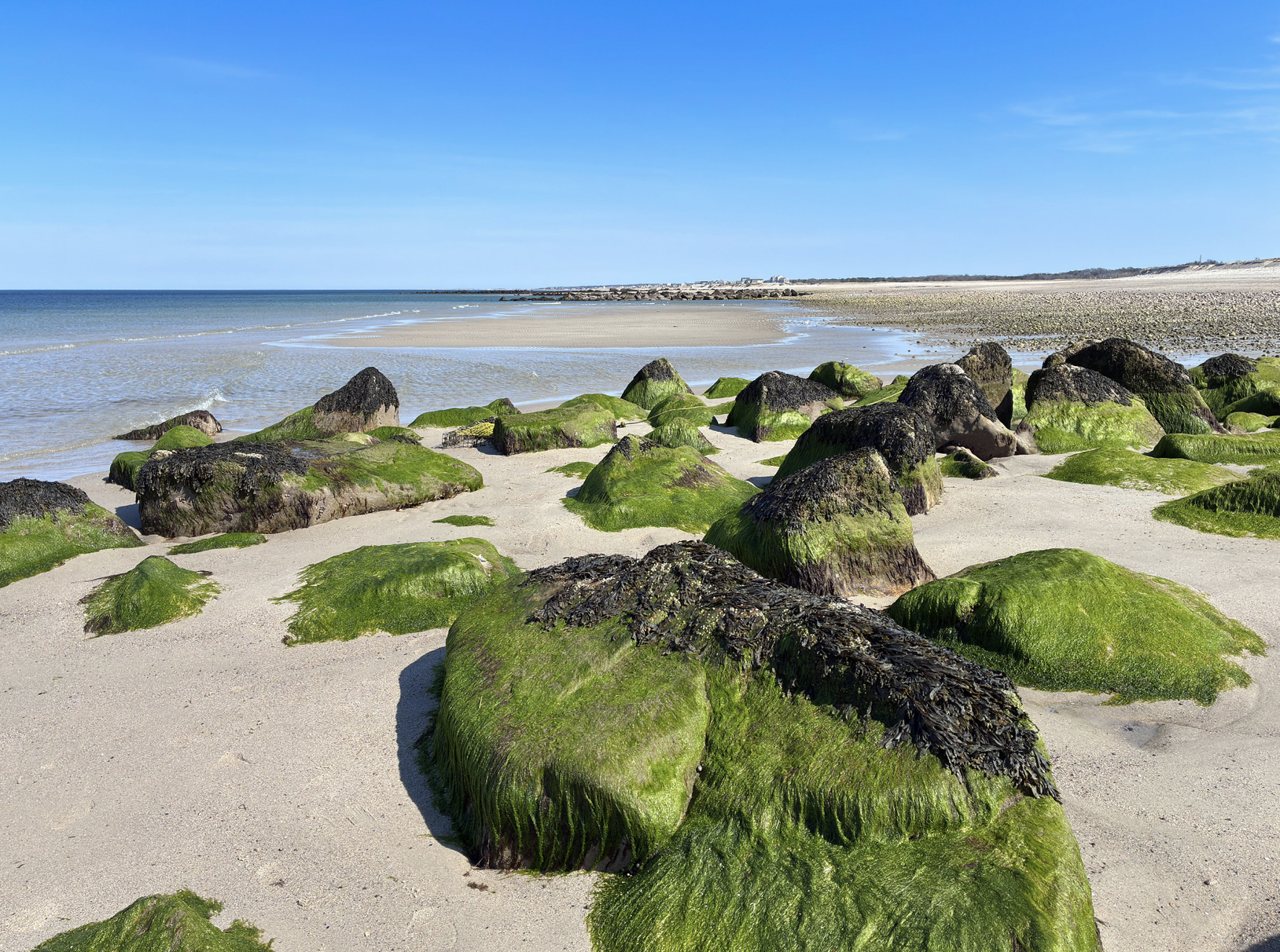 4 April green town neck beach weeks Flickr 260414