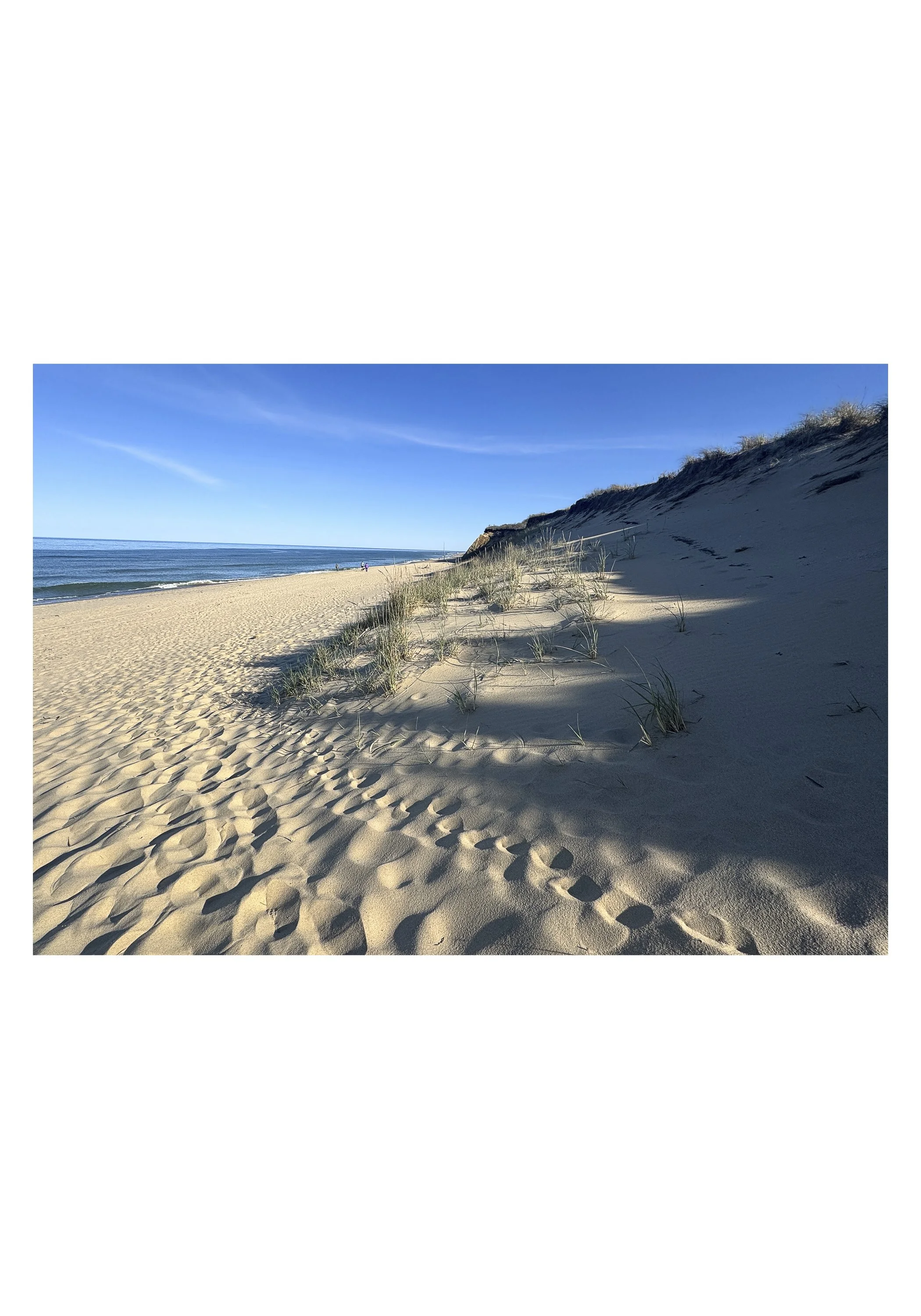 NOTECARD_5X7_horiz_NOmatte no price7.jpg